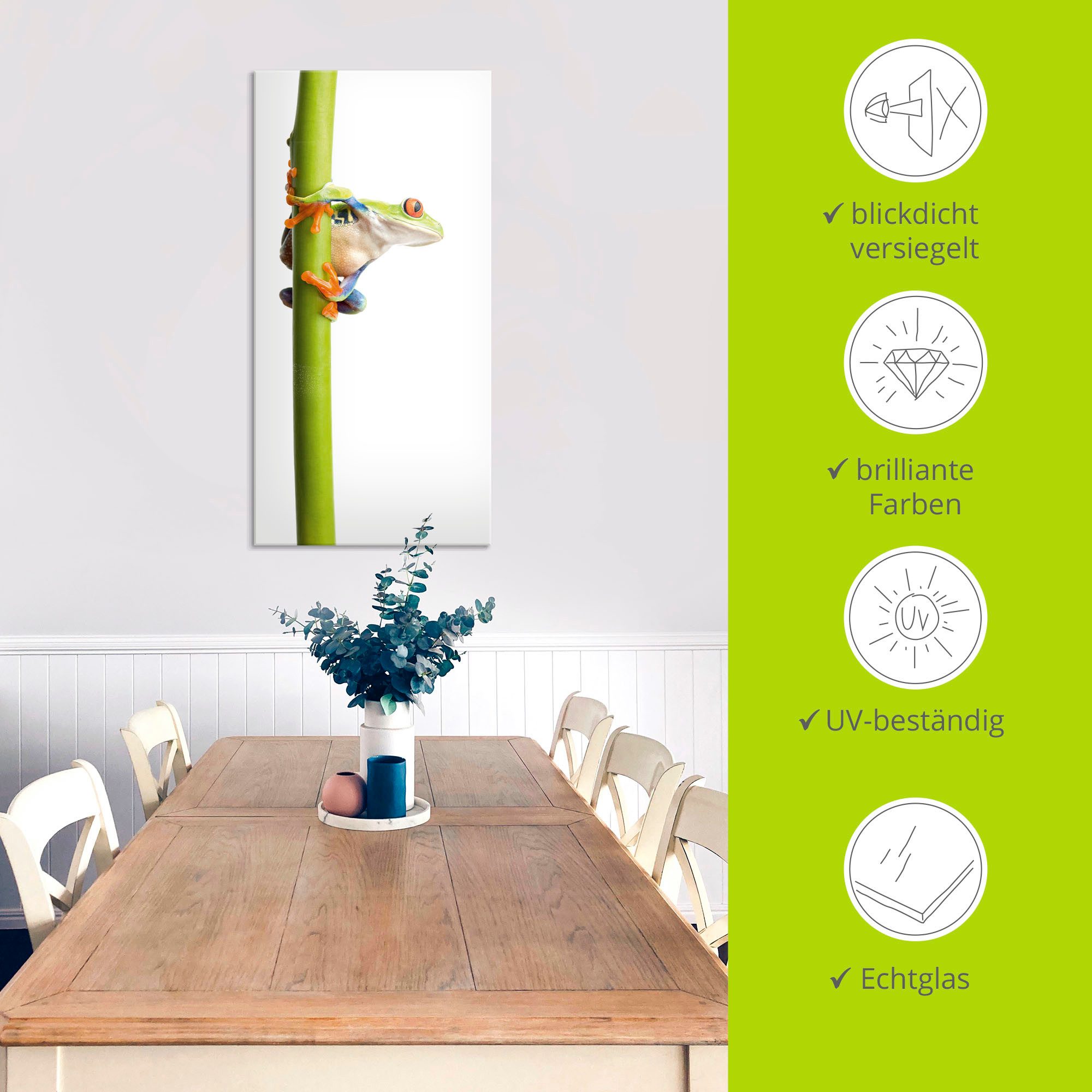 Artland Print op glas Kikkerpakt een plantenstengel vast