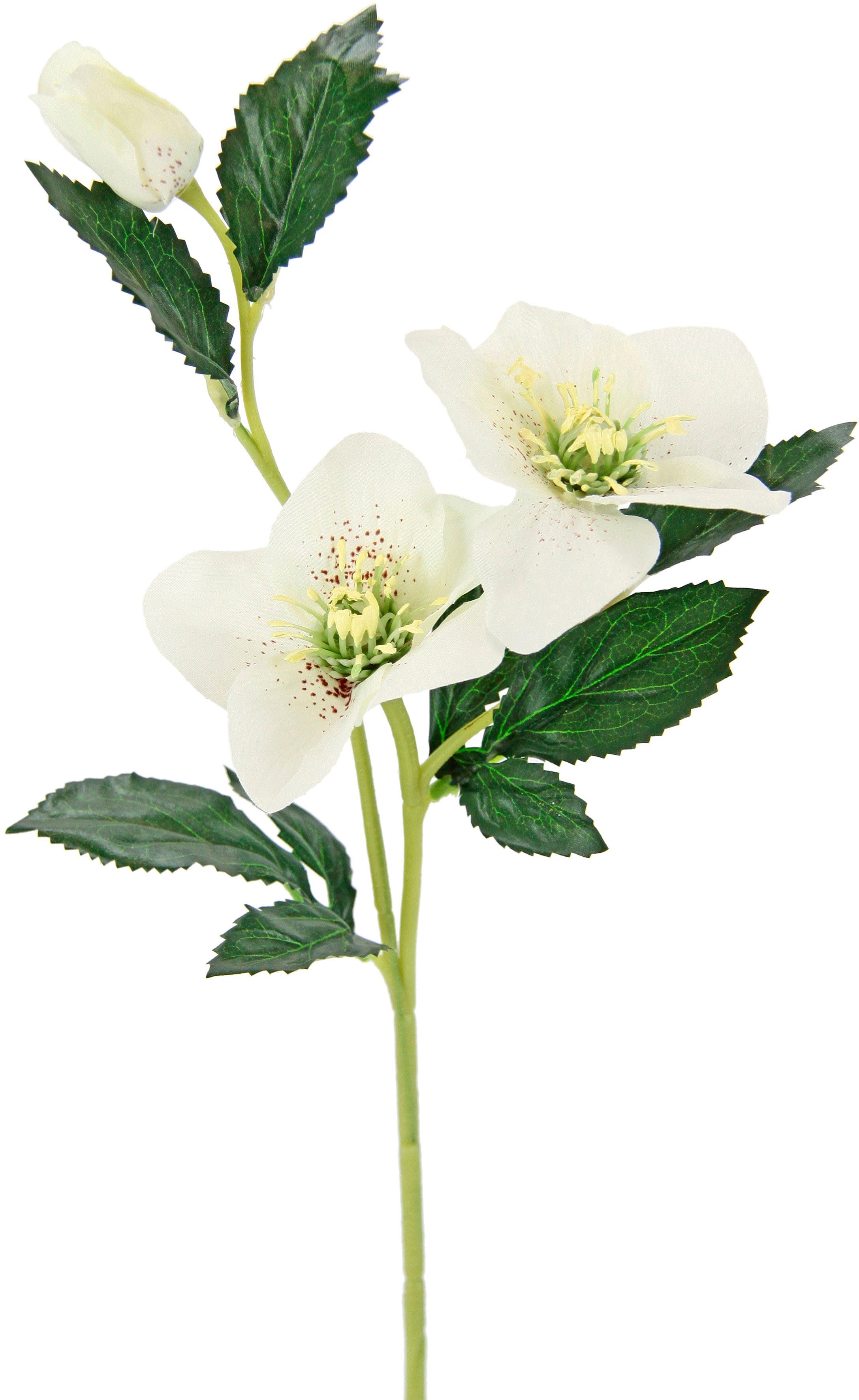 I.GE.A. Kunstbloem Kerstroos Kunstmatige zijden bloemen, 5-delige set (5 stuks)
