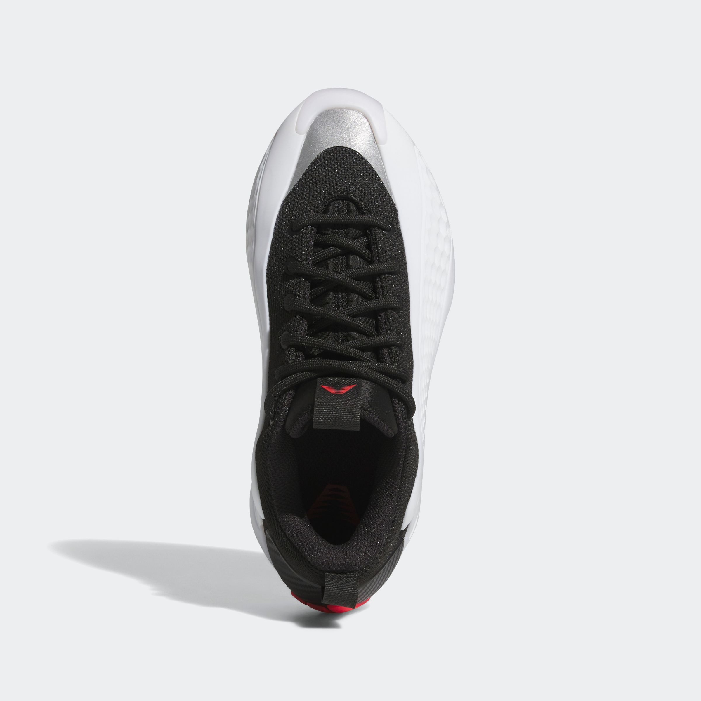 adidas Performance Basketbalschoenen ANTHONY EDWARDS 1 LOW KIDS