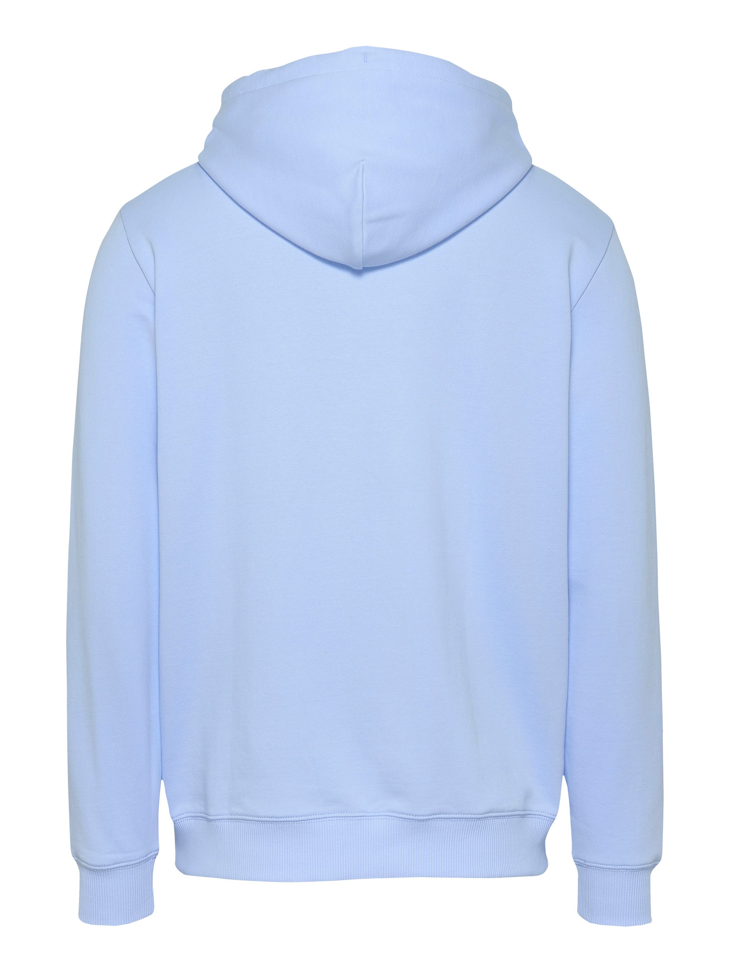 TOMMY JEANS Hoodie TJM REG ENTRY GRAPHIC HOODIE EXT
