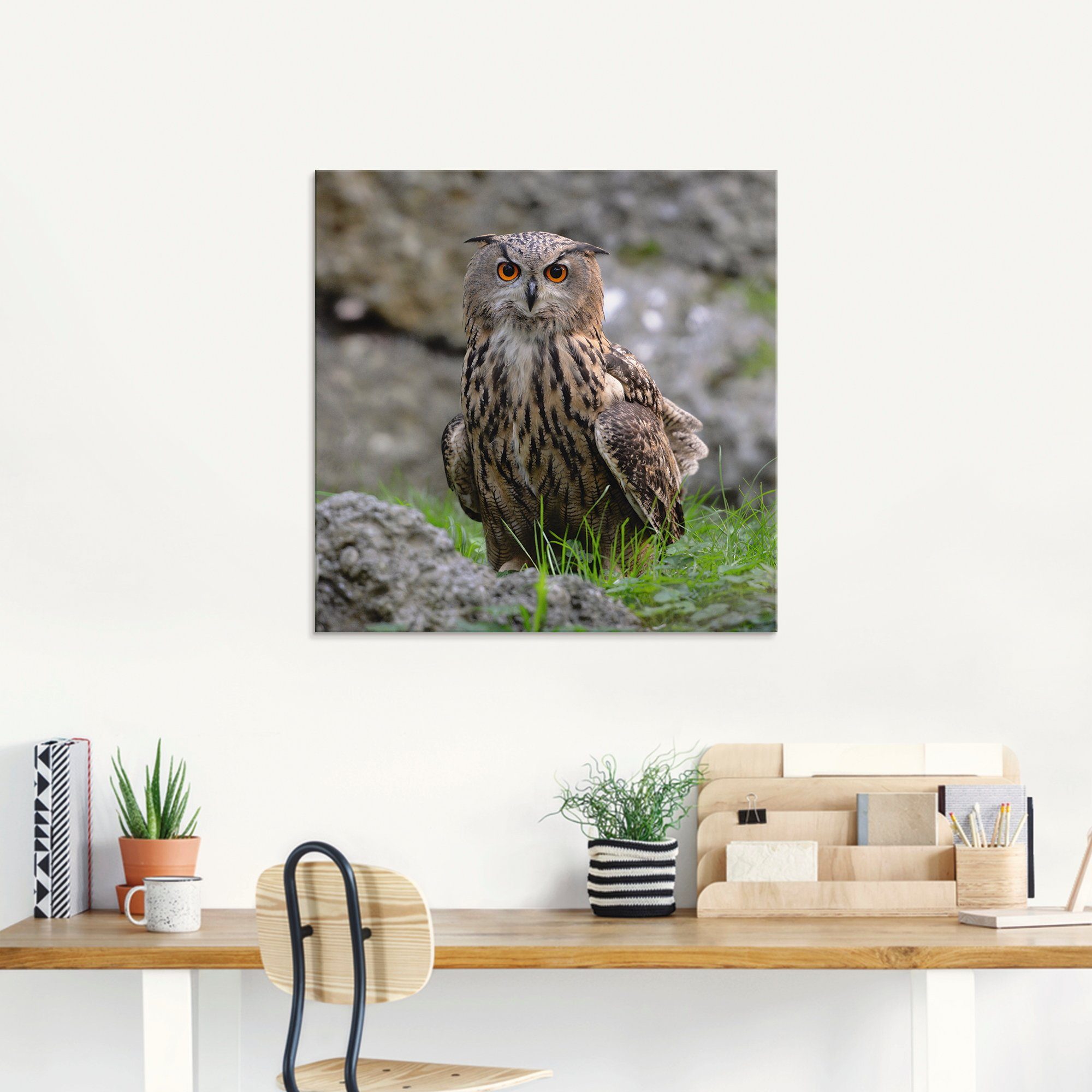 Artland Print op glas Oehoe in verschillende maten