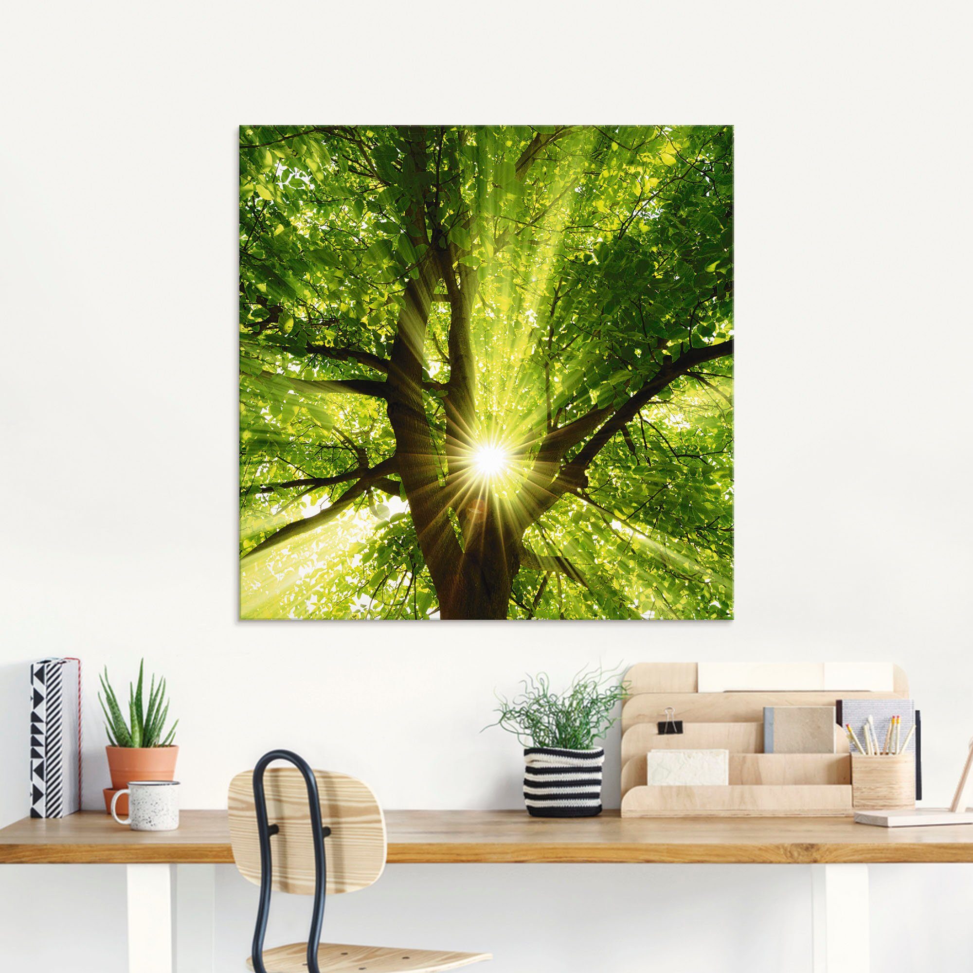 Artland Print op glas Zon straalt explosief door de boom