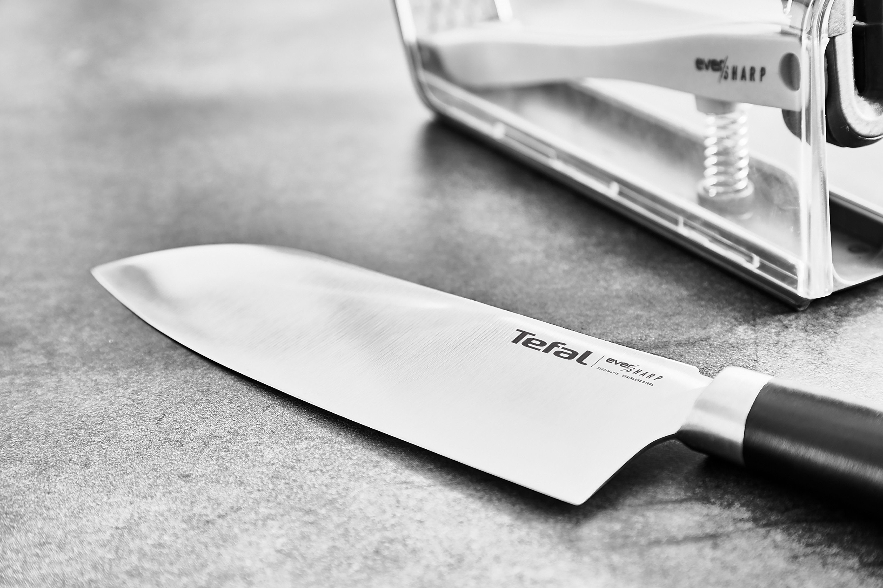Tefal Messenset K25790 Ever Sharp S Roestvrij staal, langdurige snijkracht en scherpte (set, 2-delig)