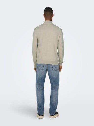 ONLY & SONS Coltrui ONSWYLER LIFE REG ROLL NECK KNIT NOOS