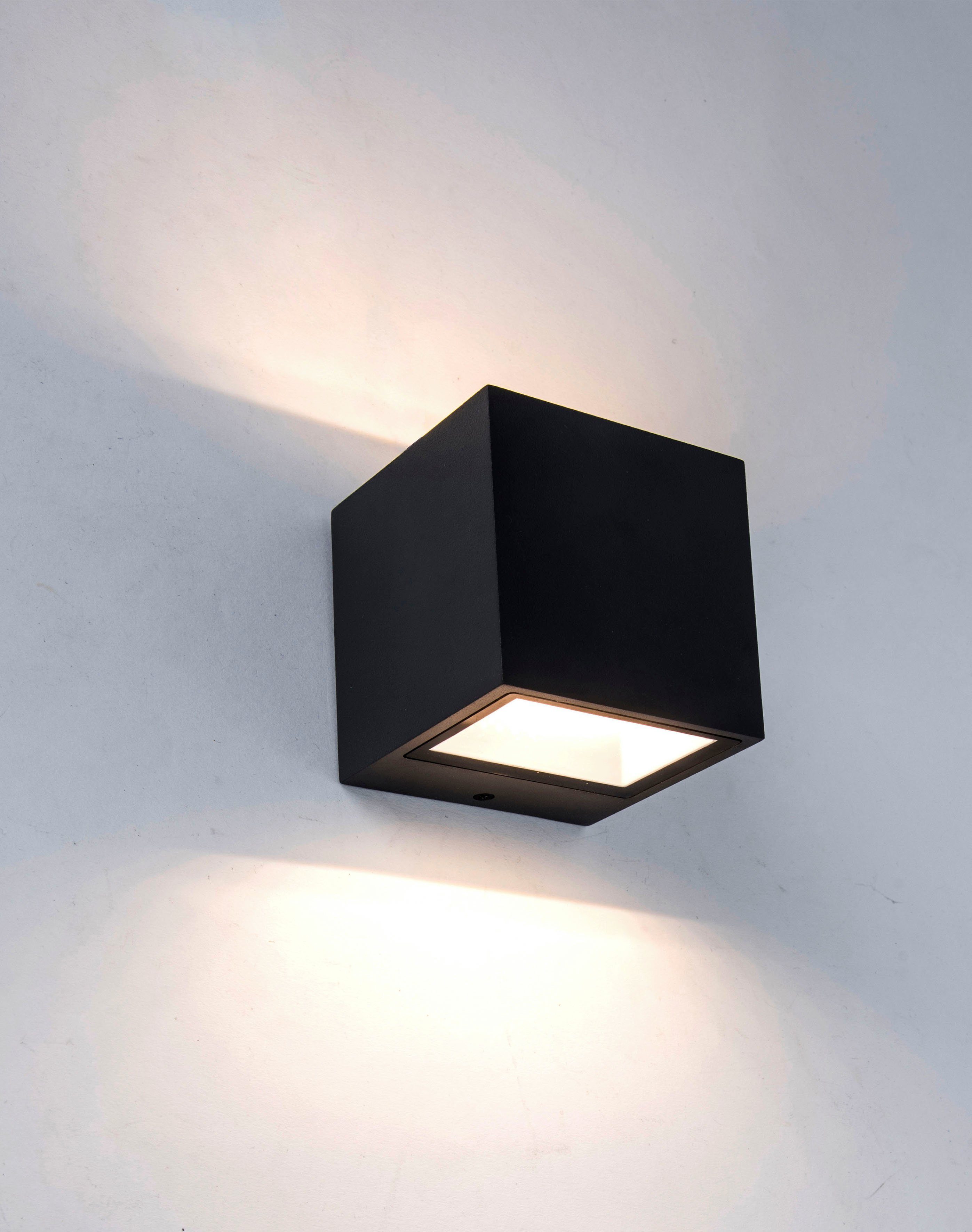 LUTEC Ledwandlamp voor buiten Gemini (1 stuk)