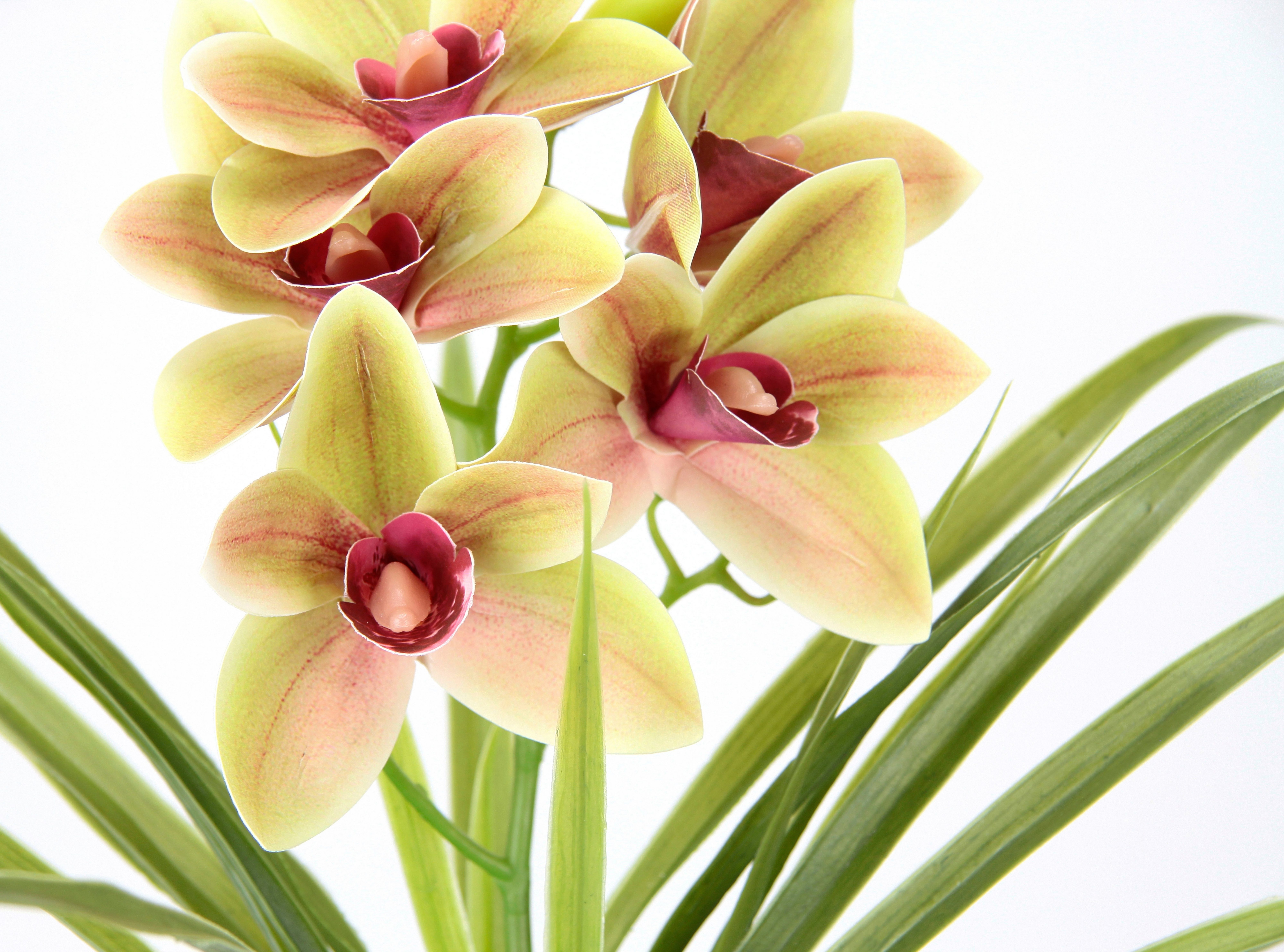 my home Kunstbloem Orchidee Met bladeren in pot van cement, kunstbloem Cymbidium-orchidee (1 stuk)