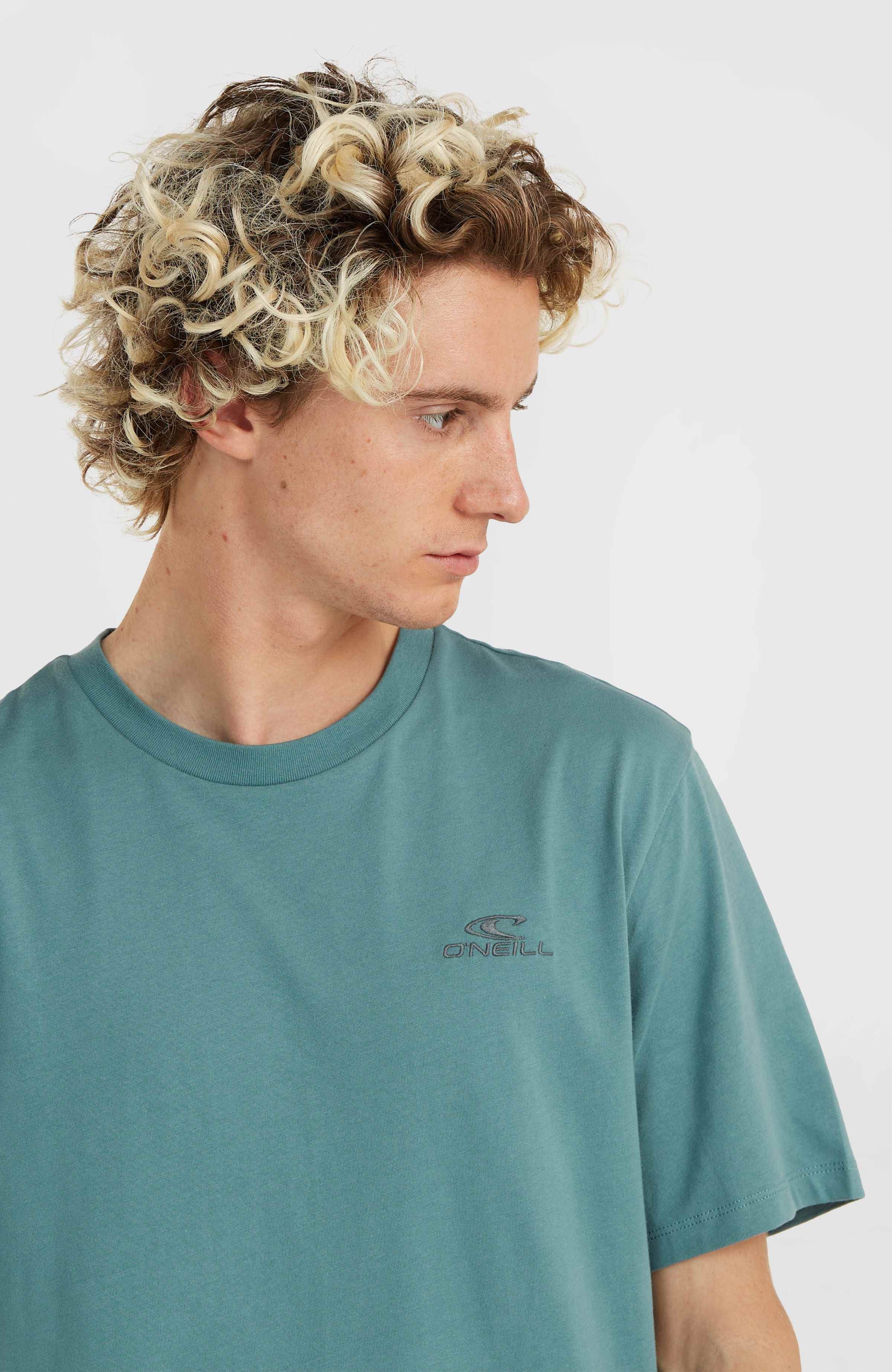O'Neill T-shirt O'NEILL SMALL LOGO T-SHIRT