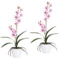 creativ green kunstplant orchidee dendrobie in een keramische pot (set, 2 stuks) roze
