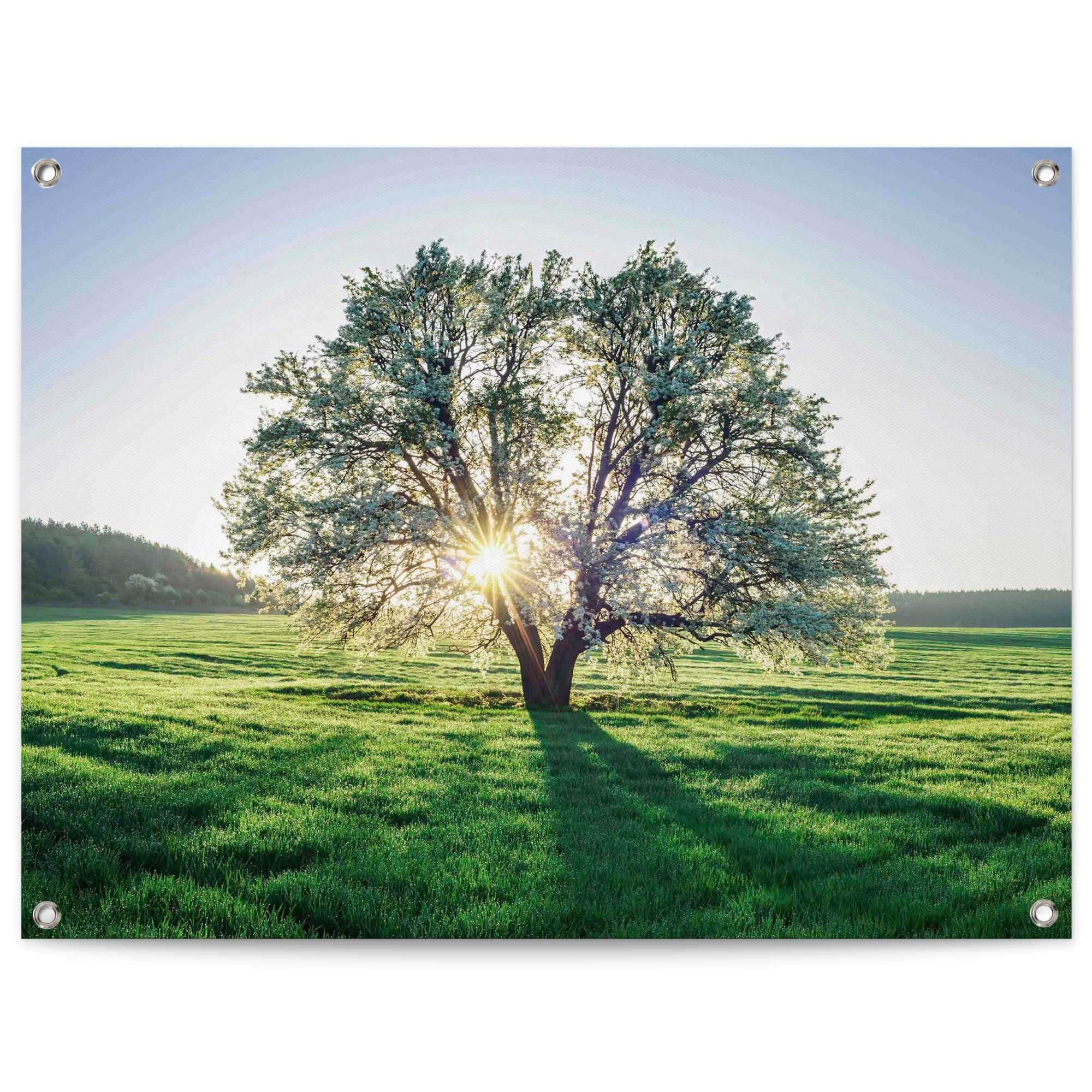 Reinders! Poster Boom in de ochtendzon Outdoor voor tuin of balkon deurposters groen