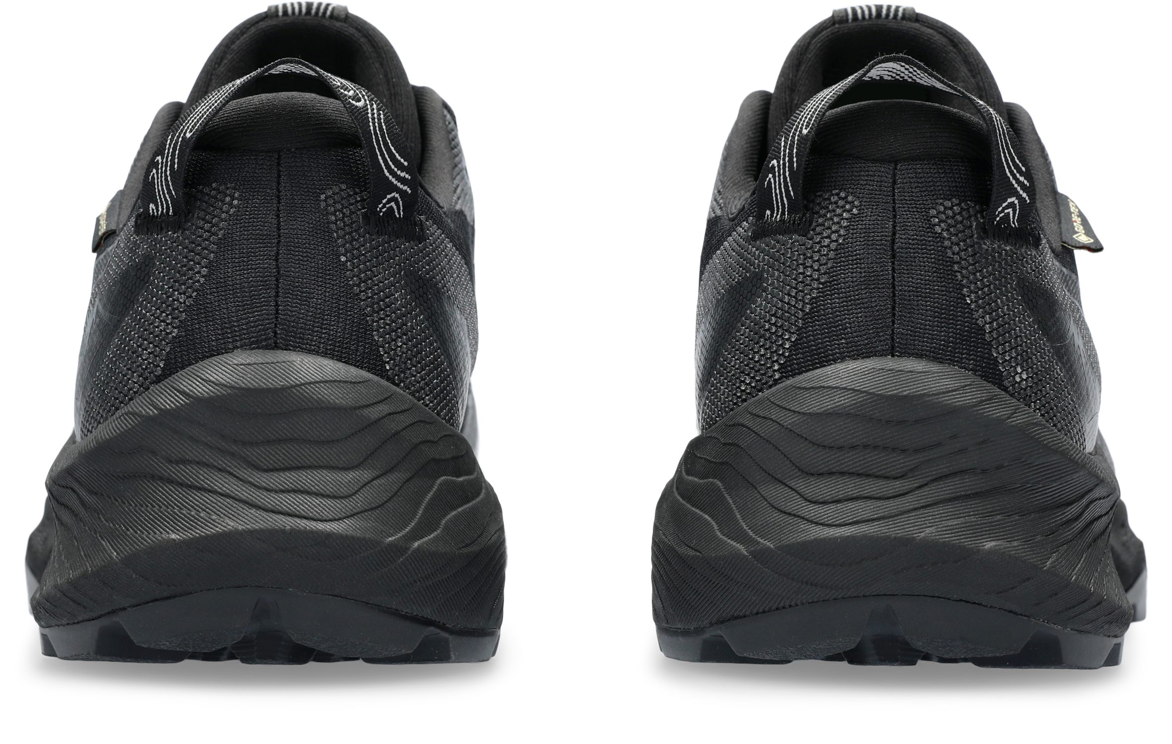 Asics Trailrunningschoenen GEL-TRABUCO 12 GTX