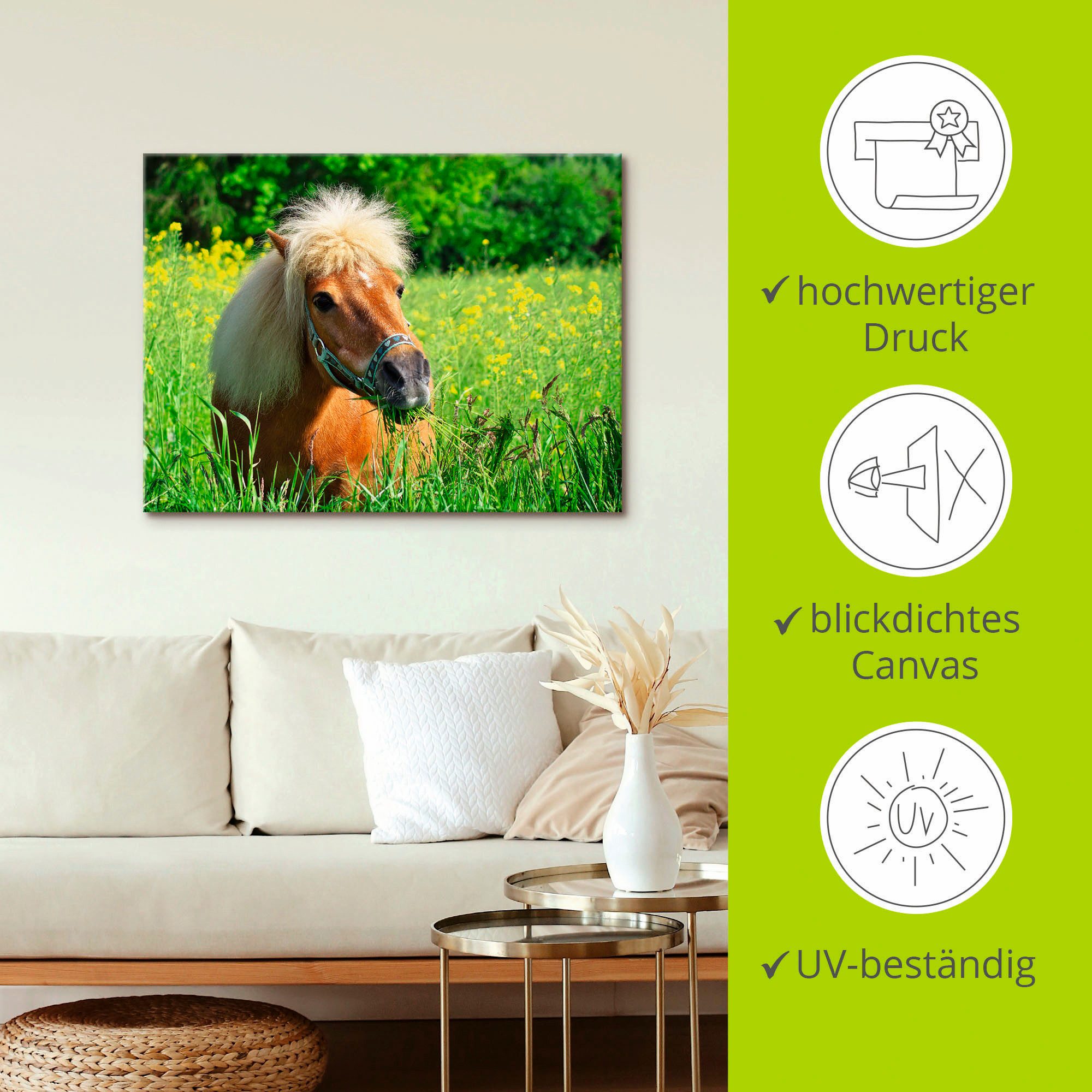 Artland Artprint Shetland pony als artprint op linnen, muursticker in verschillende maten