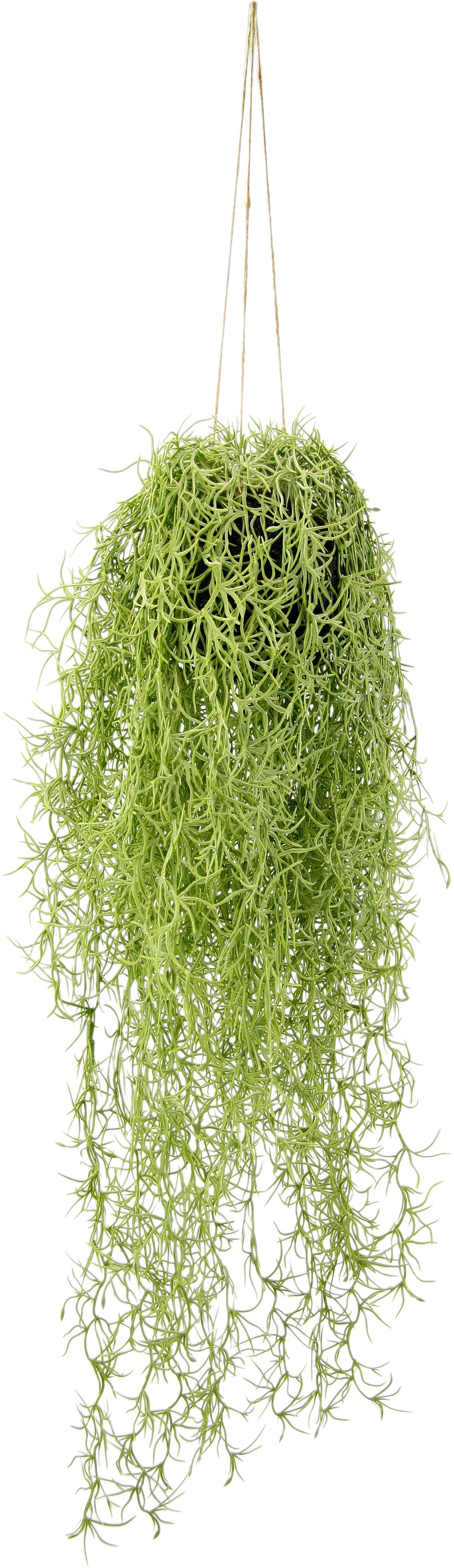 I.GE.A. Kunstplant Moshanger Met plantenhanger (1 stuk) kunstplanten groen