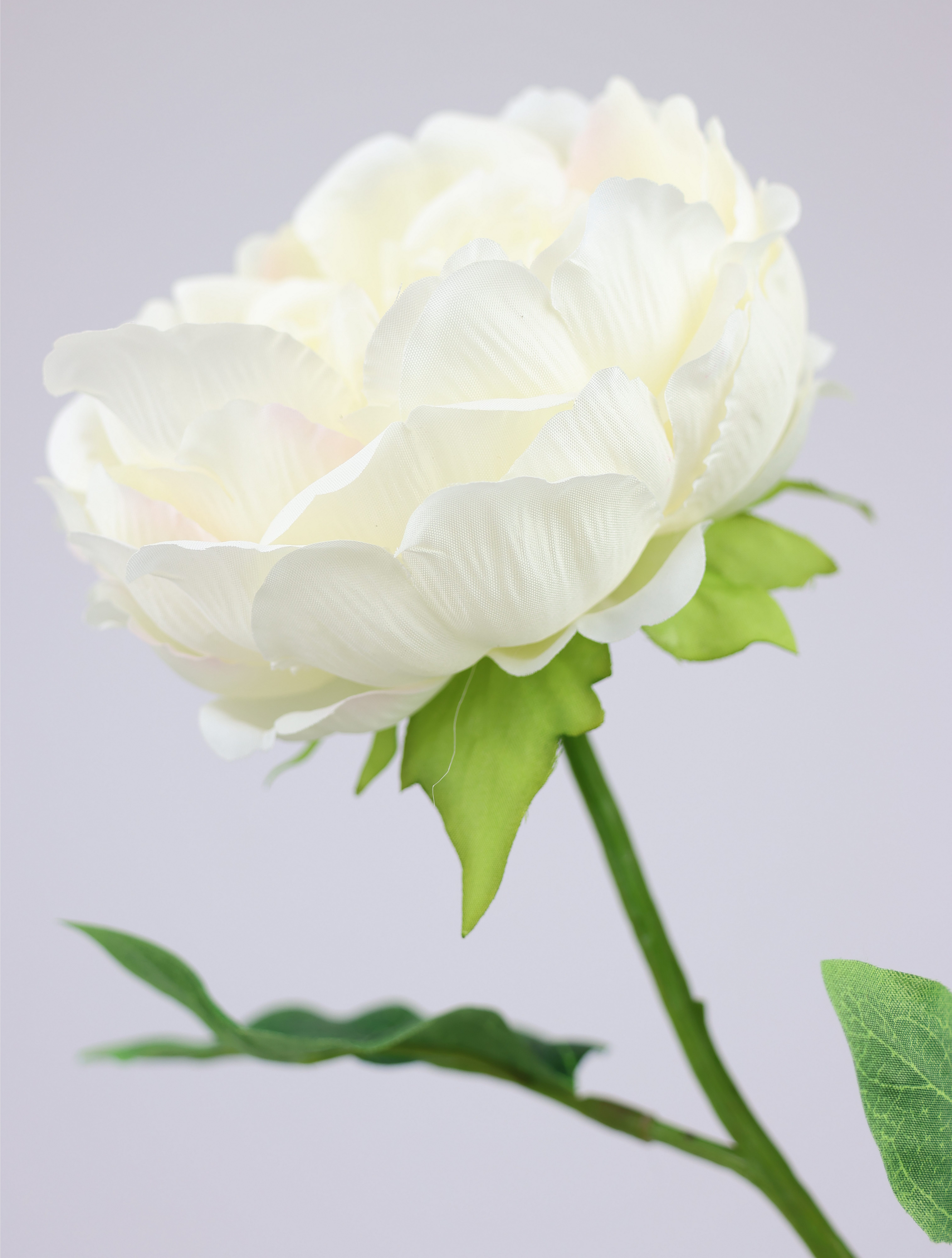 I.GE.A. Kunstbloem Pioenroos Pioenrozen enkele bloem, set van 3 (3 stuks)