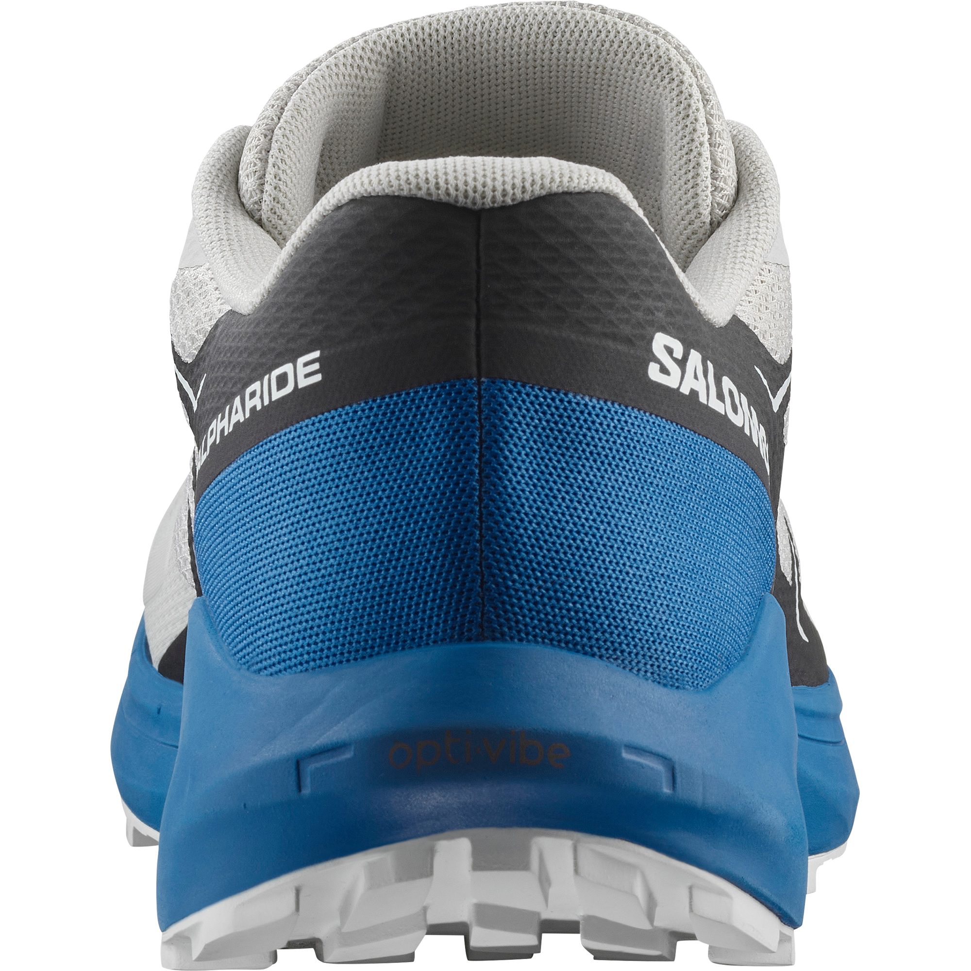 Salomon Trailrunningschoenen ALPHARIDE waterdicht