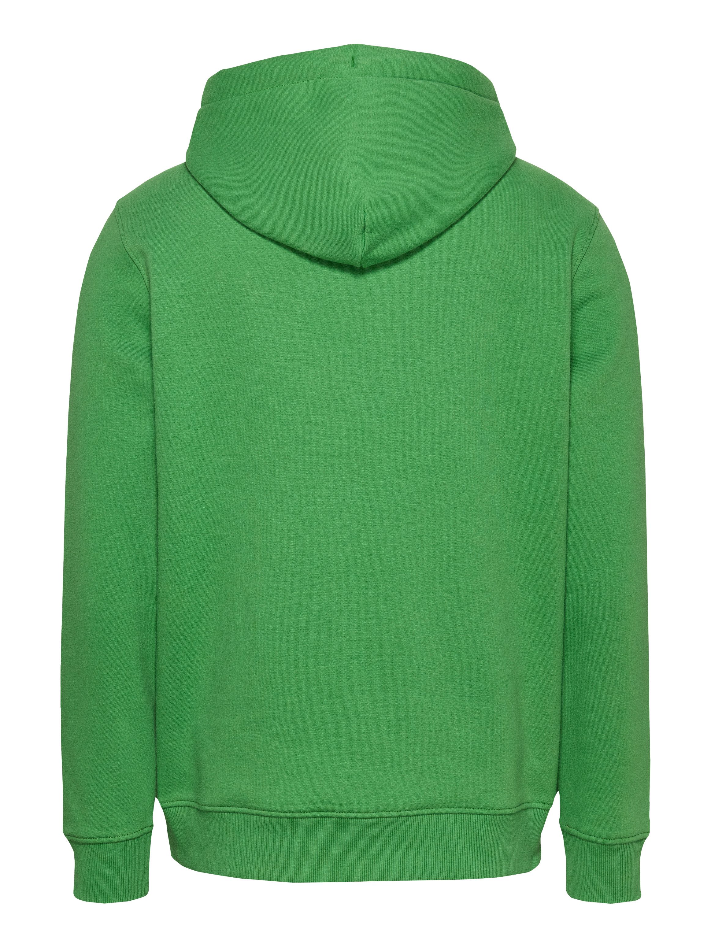 TOMMY JEANS Sweatshirt TJM REG ESSENTIAL FLAG HOOD EXT met bedrukte merklogo op borsthoogte