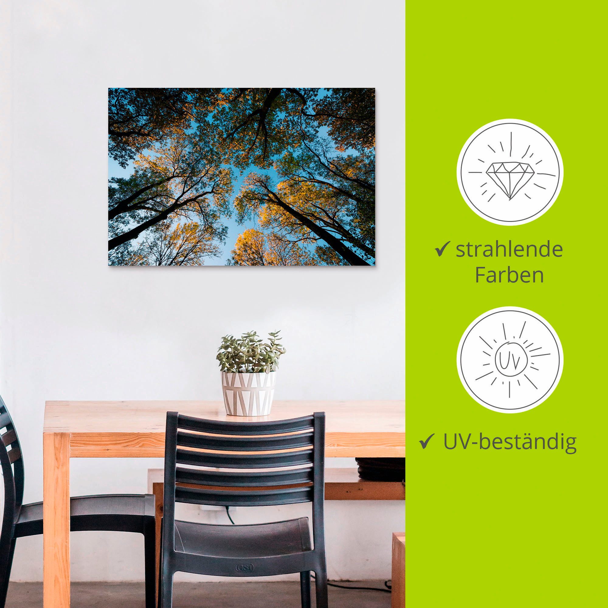 Artland Artprint Herfst in het bos als artprint van aluminium, artprint voor buiten, artprint op linnen in verschillende maten