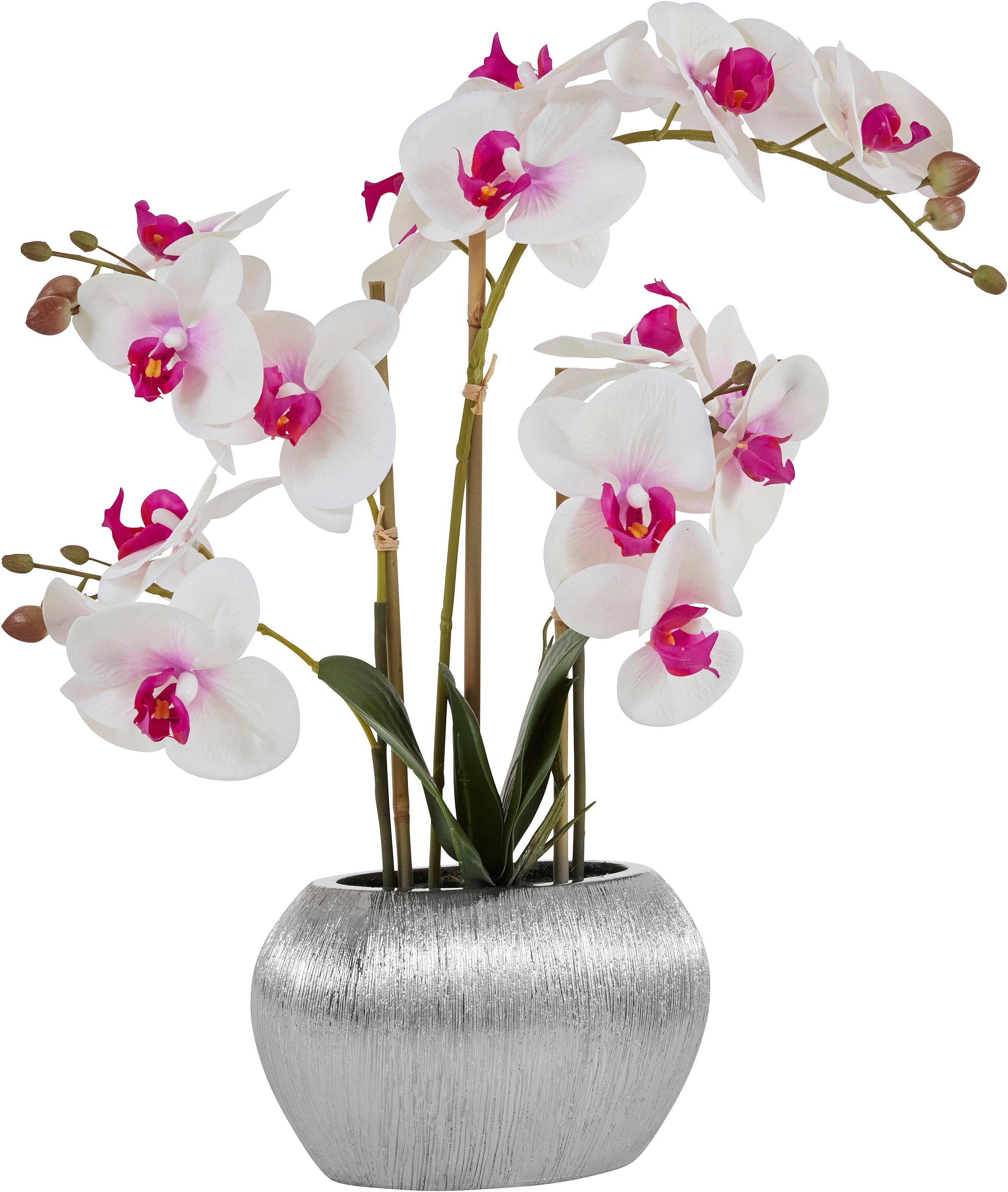 Home affaire Kunstplant Orchidee Kunstorchidee, in een pot (1 stuk)