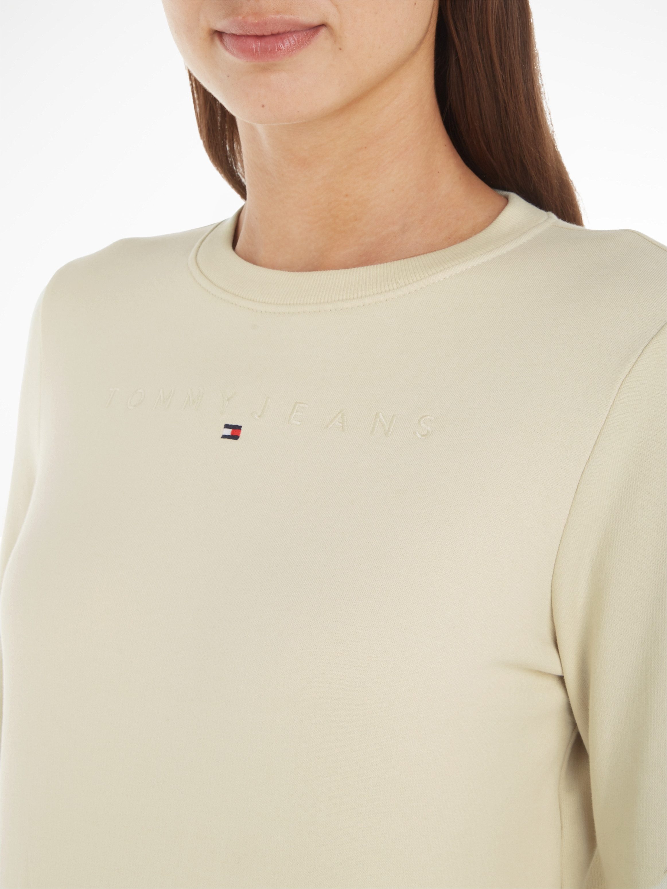 Tommy Jeans Curve Sweatshirt TJW REG LINEAR CREW EXT in grote maten met logo-opschrift