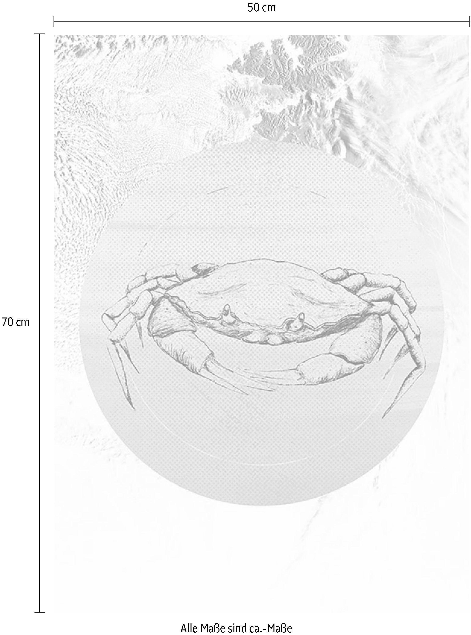 Komar Wanddecoratie Crab Sea Wanddecoratie - zonder lijst (1 stuk)