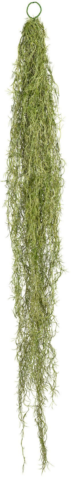Creativ green Kunstplant Tillandsien-plantenhanger (1 stuk) kunstplanten groen