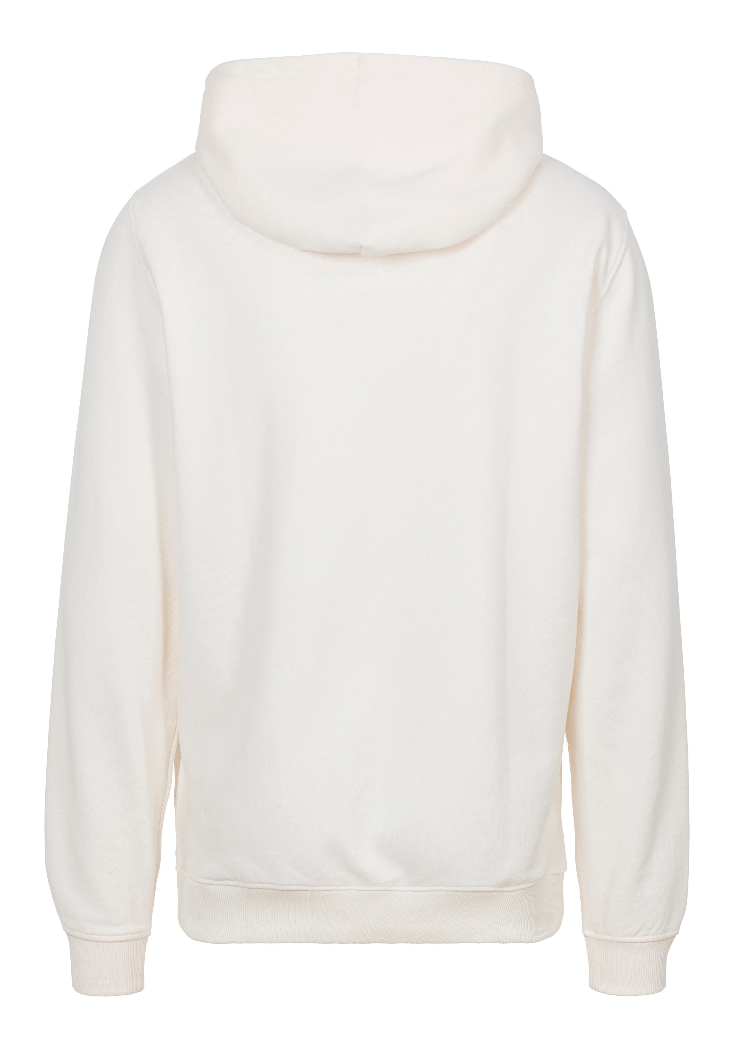 TOMMY JEANS Sweatshirt TJM REG TJ FLAG CREST HOOD EXT geborduurd merkembleem op borsthoogte