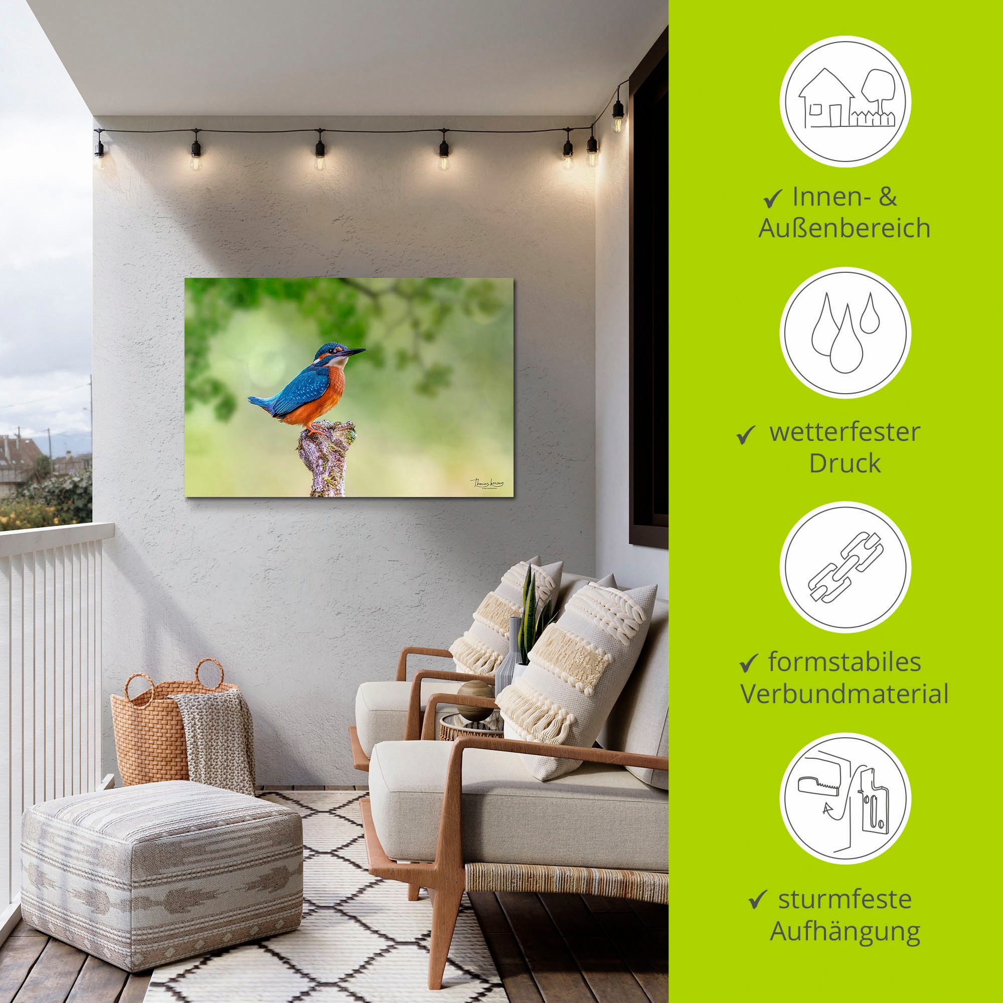 Artland Aluminium dibond print Ijsvogel II