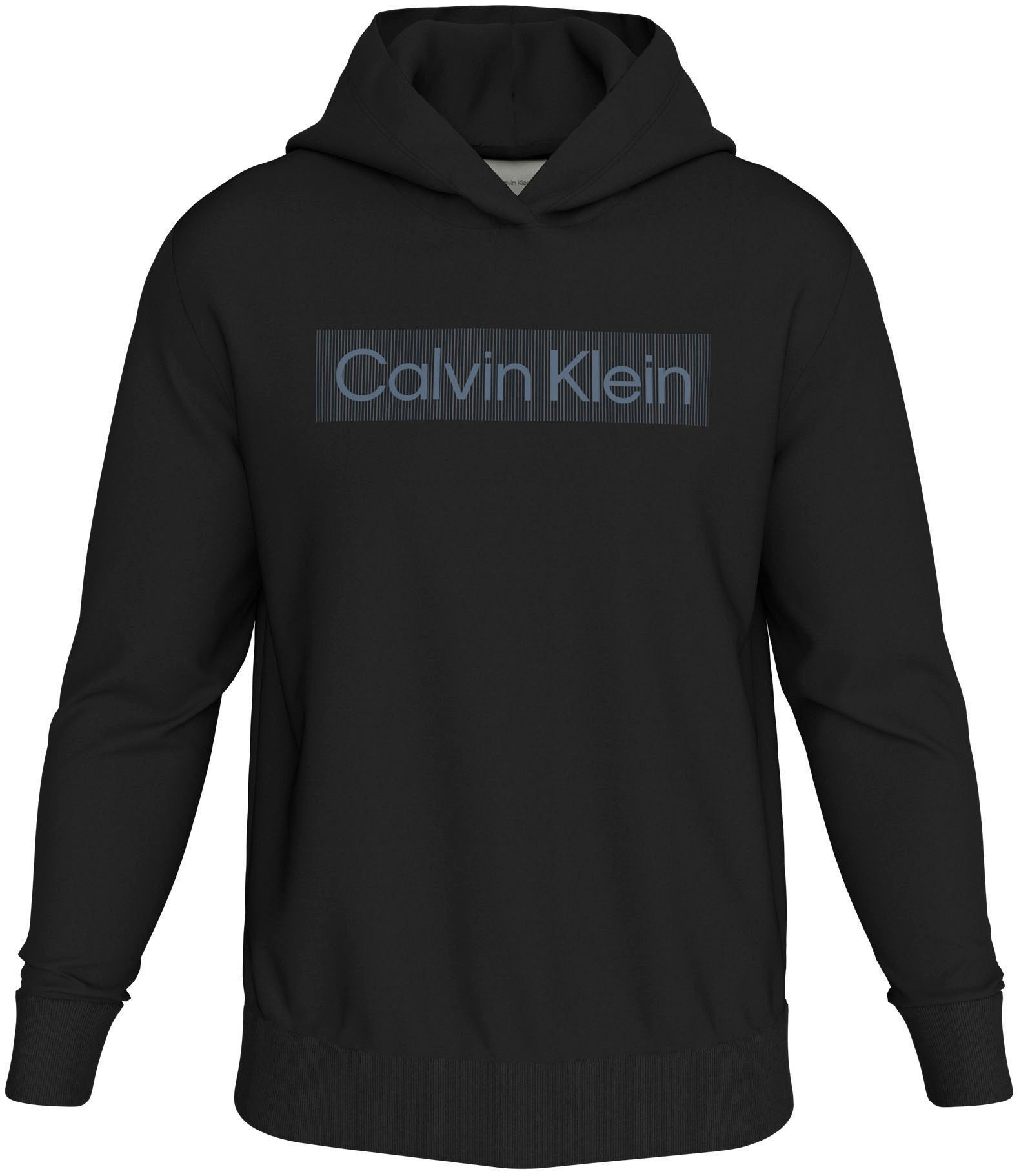 Calvin Klein Hoodie BOX STRIPED LOGO HOODIE
