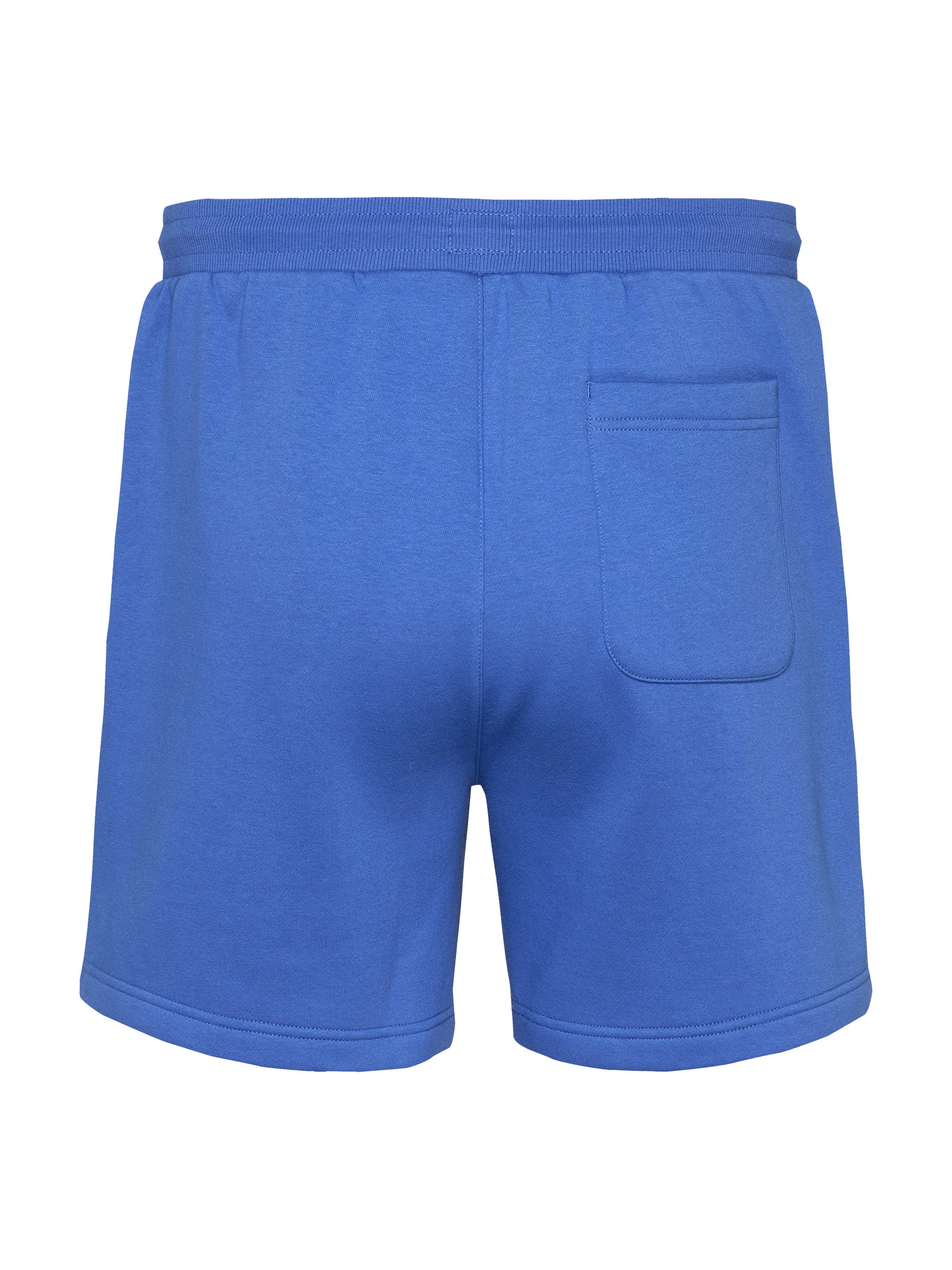 TOMMY JEANS Sweatshort TJM S FLAG BEACH SHORT EXT