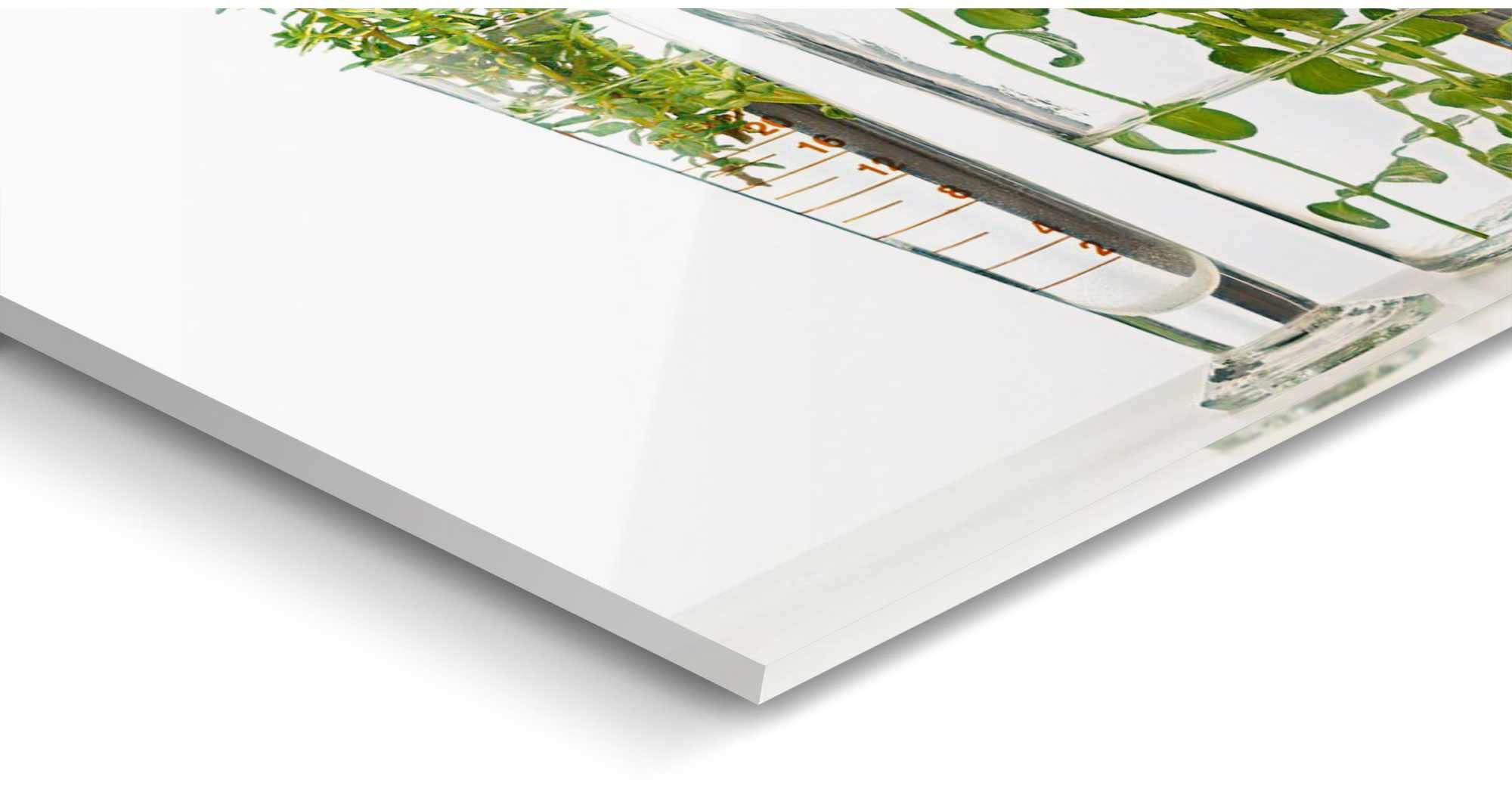 Reinders! Print op glas Artprint op glas kruiden in vazen specerijen - tuin - koken