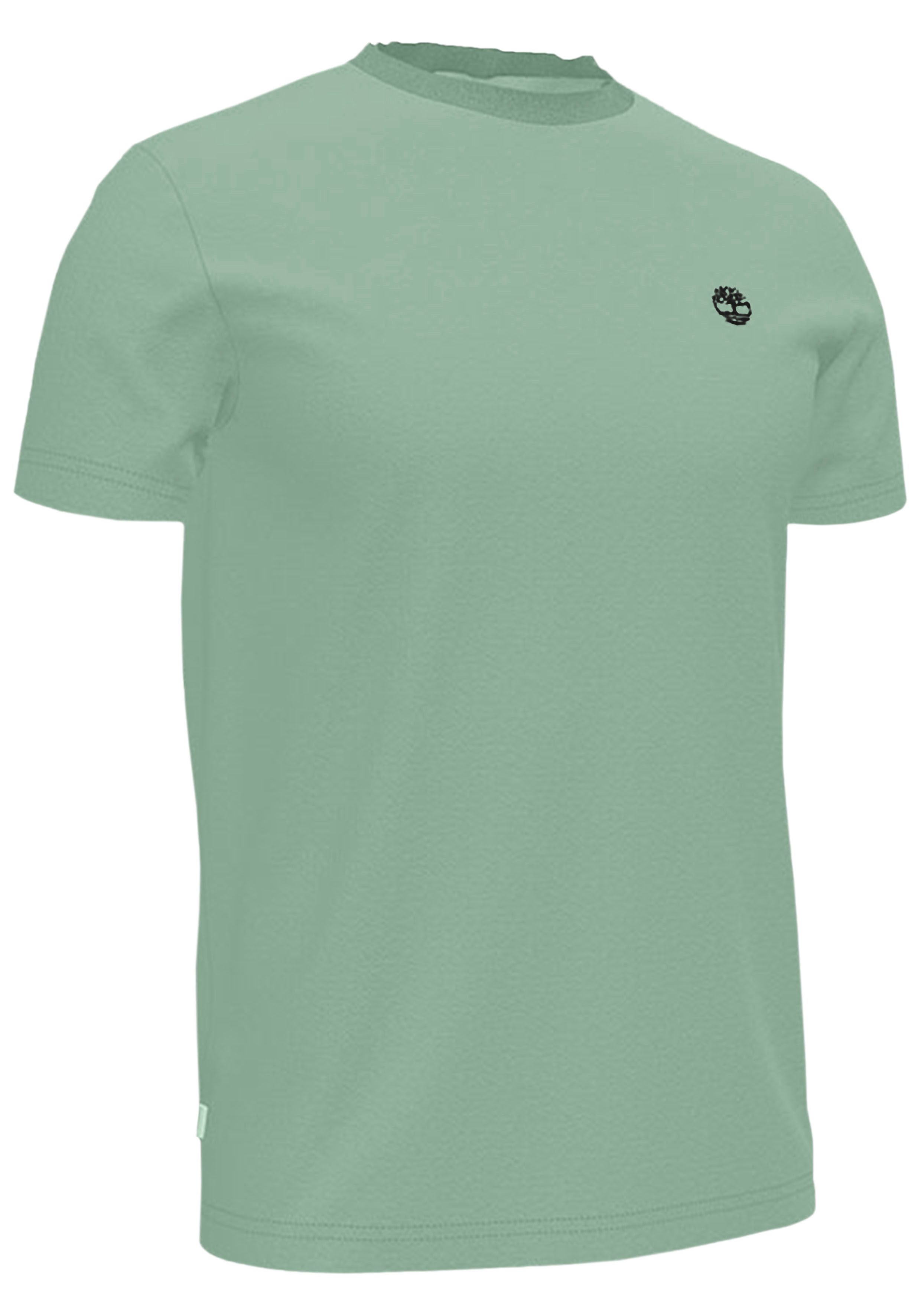 Timberland T-shirt DUNSTAN RIVER Short Sleeve Tee (1-delig)