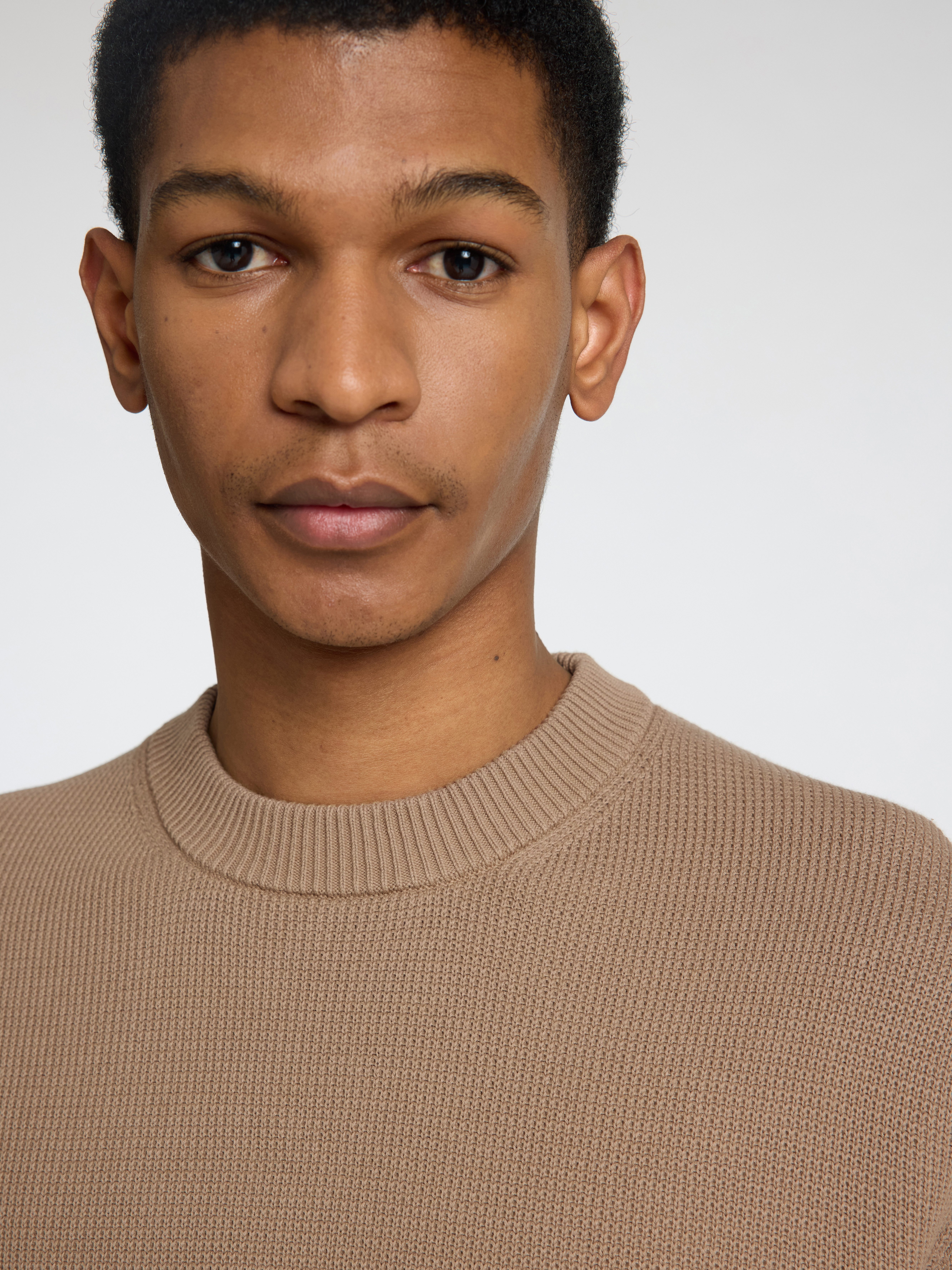 SELECTED HOMME Trui met ronde hals SLHDANE LS KNIT STRUCTURE CREW NECK NOOS