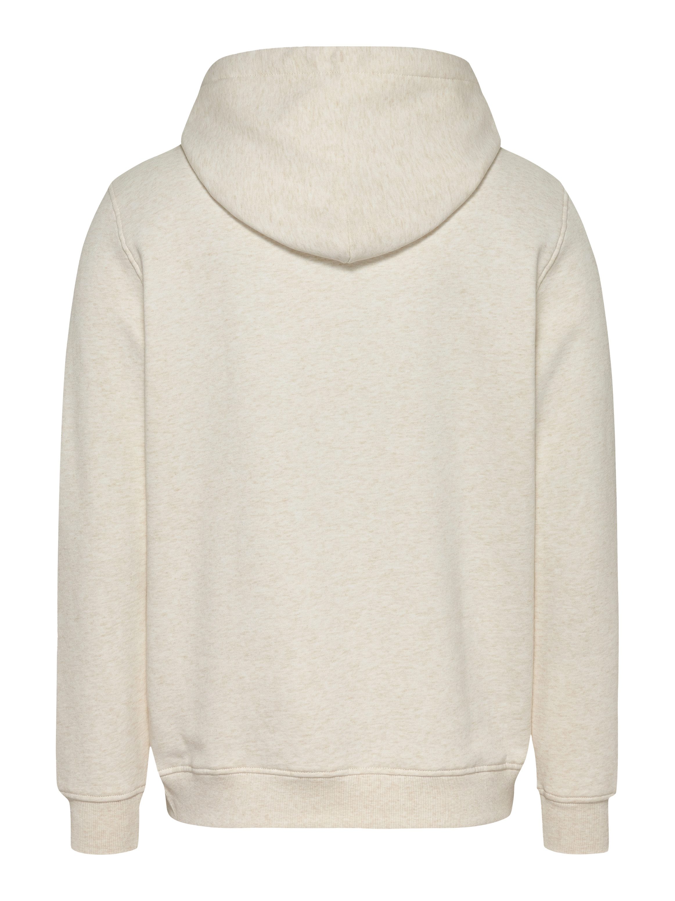 TOMMY JEANS Hoodie TJM REG LINEAR LOGO HOODIE EXT