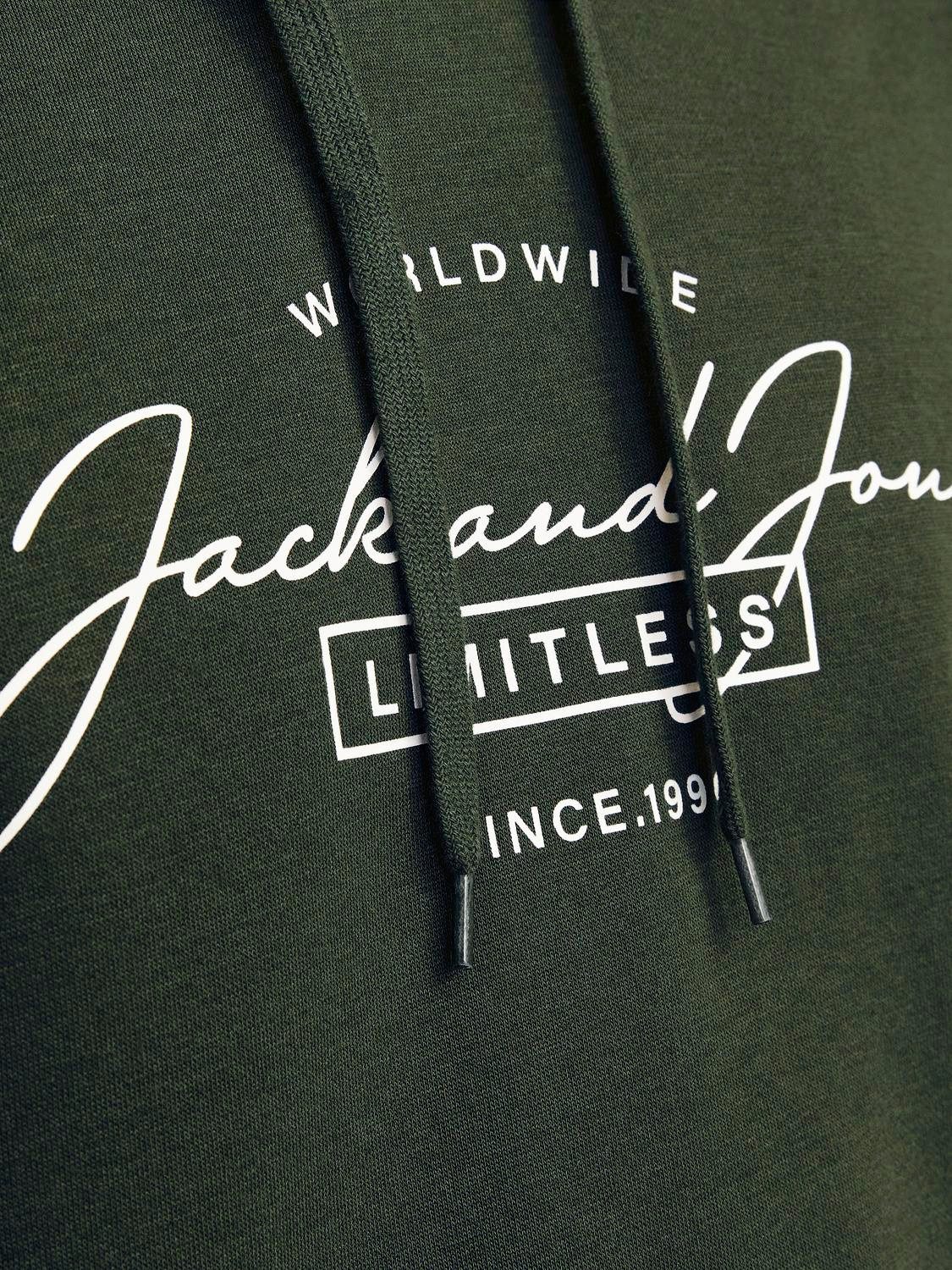 Jack & Jones Hoodie JJFERRIS SWEAT HOOD
