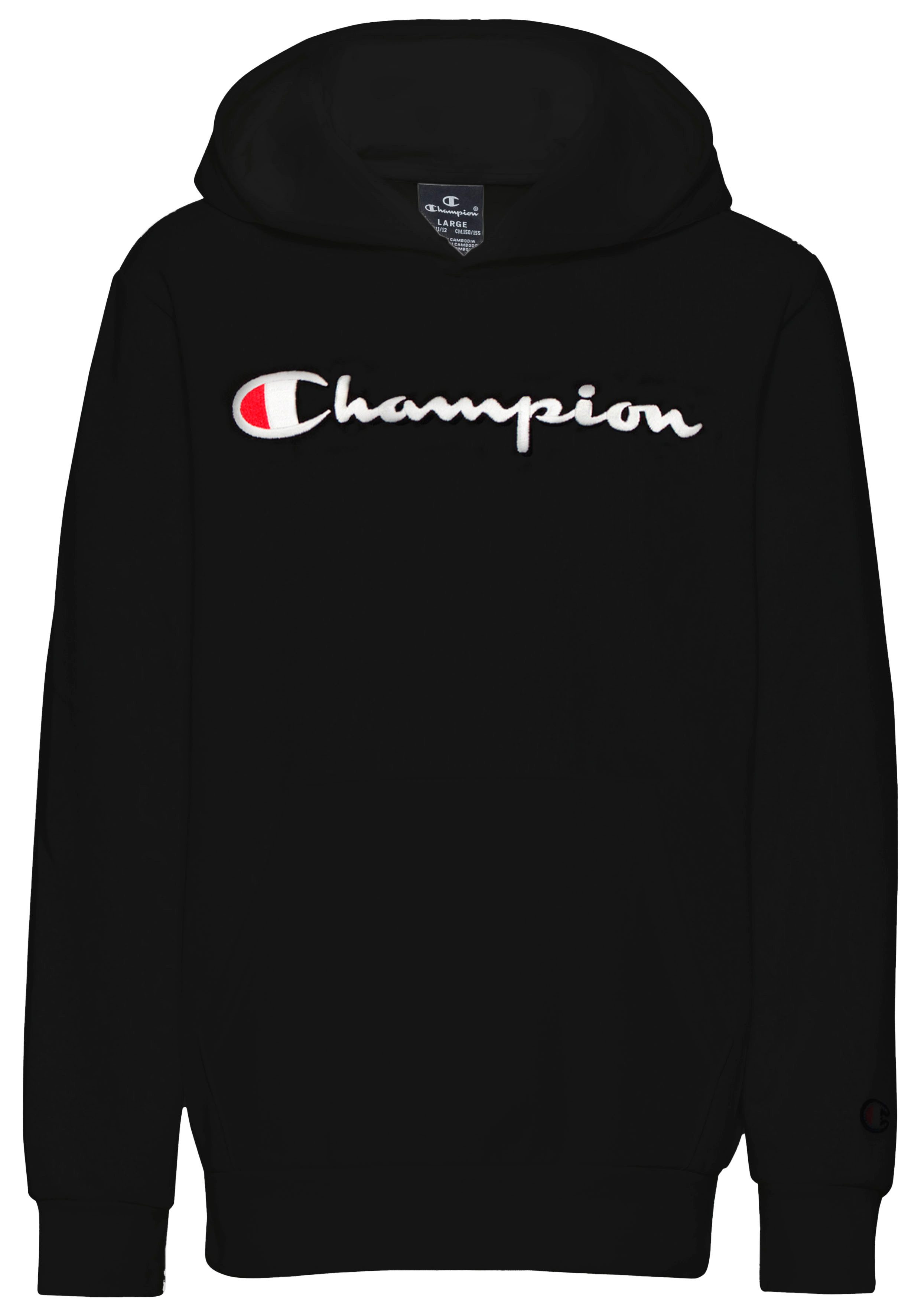 Champion Hoodie HOODED sweatshirt