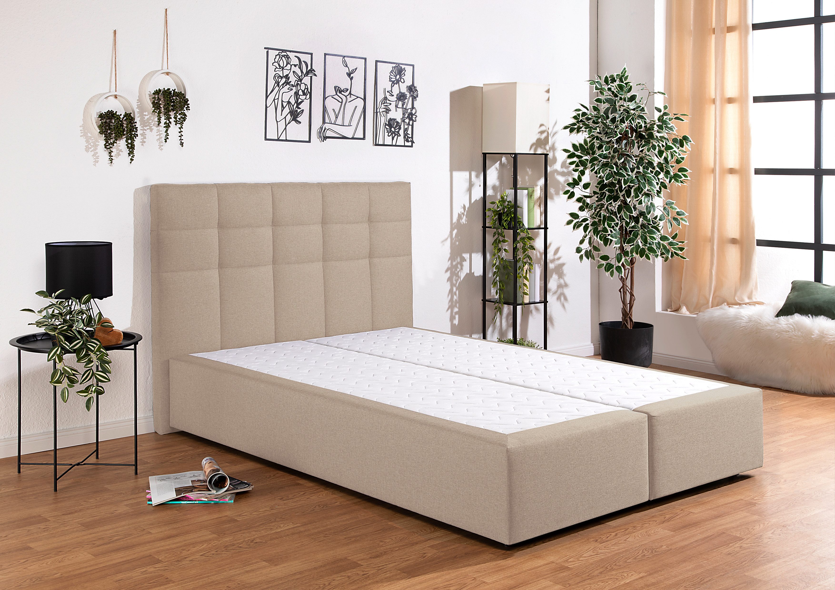 INOSIGN Boxspring OVALO optioneel met bedbox, verkrijgbaar in h2, h3 & h4