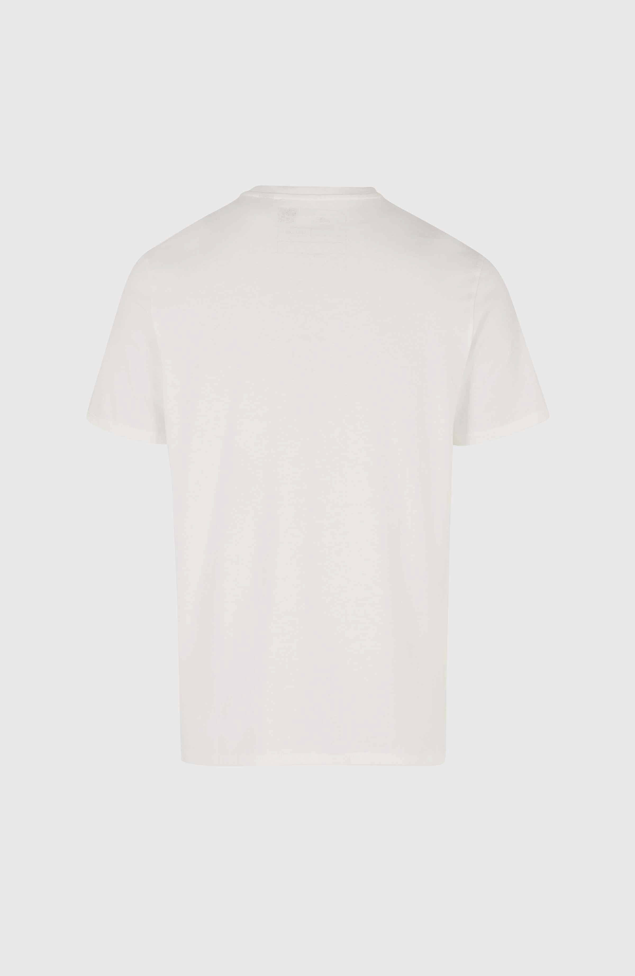 O'Neill T-shirt O'NEILL SMALL LOGO T-SHIRT