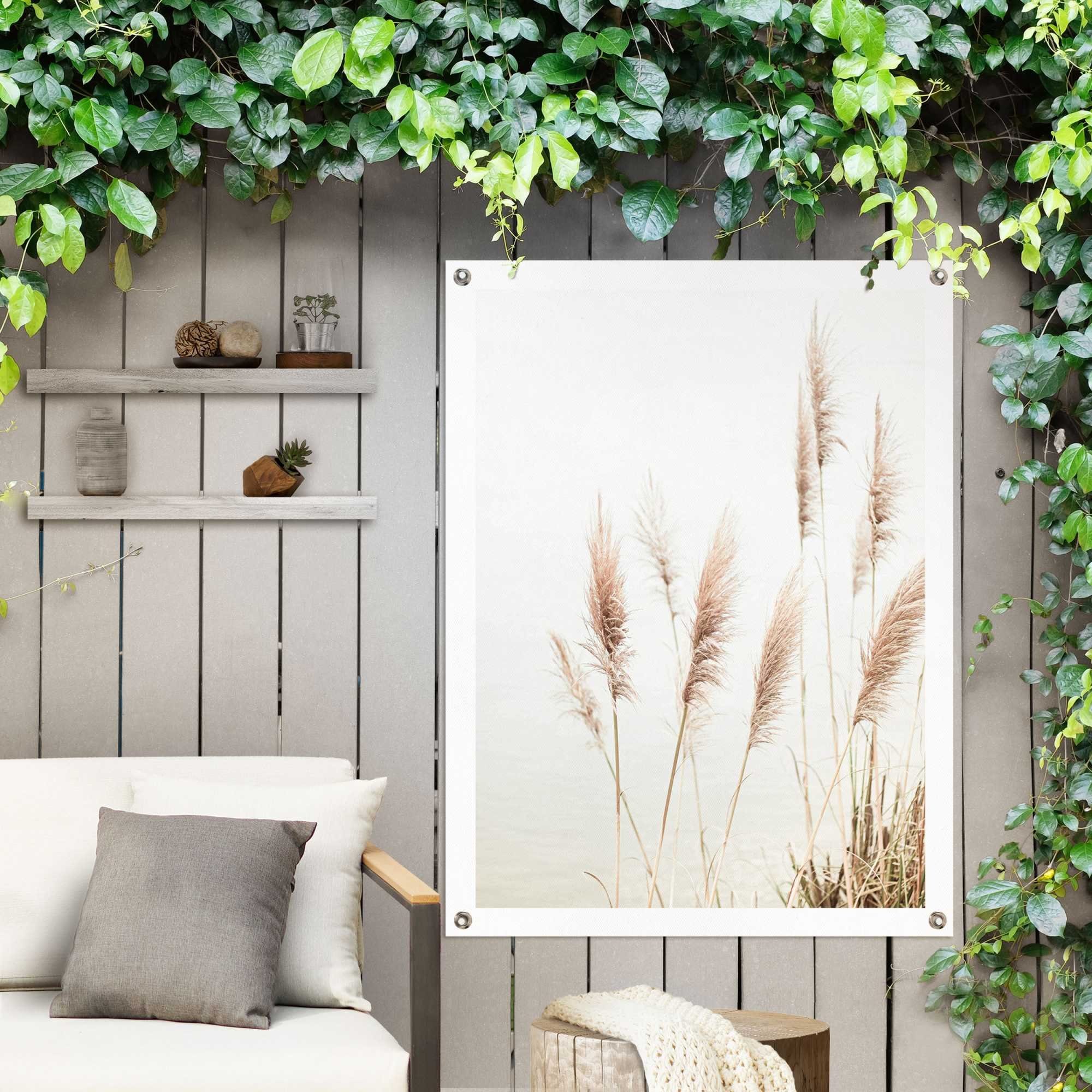 Reinders! Poster Pampasgras Outdoor voor tuin of balkon