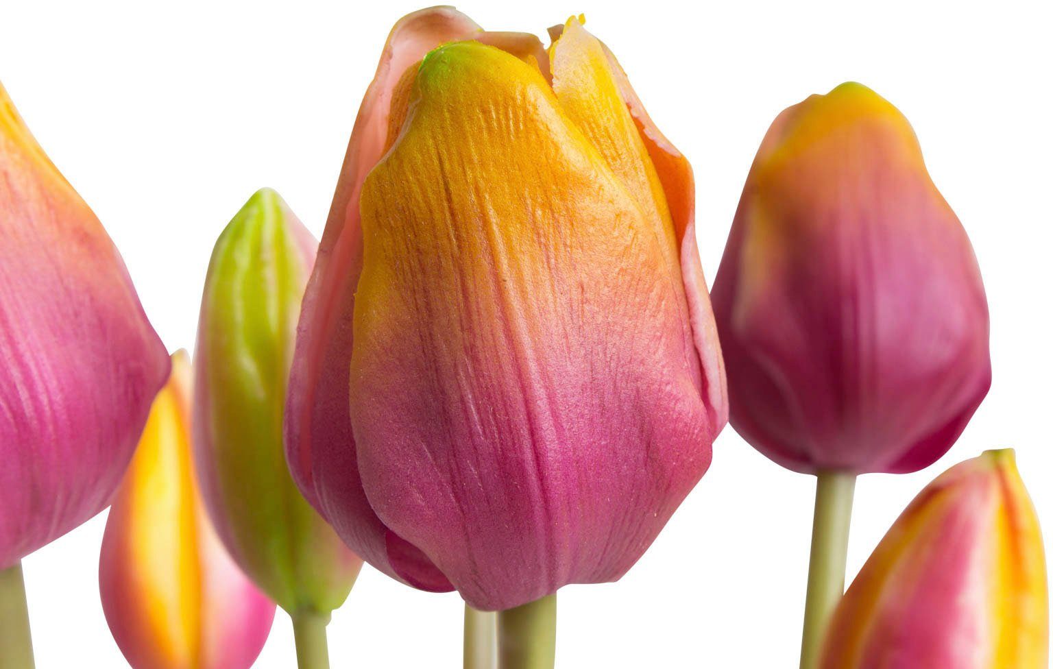 my home Kunstplant Maiva Bos tulpen in 7-delige set (set, 7 stuks)