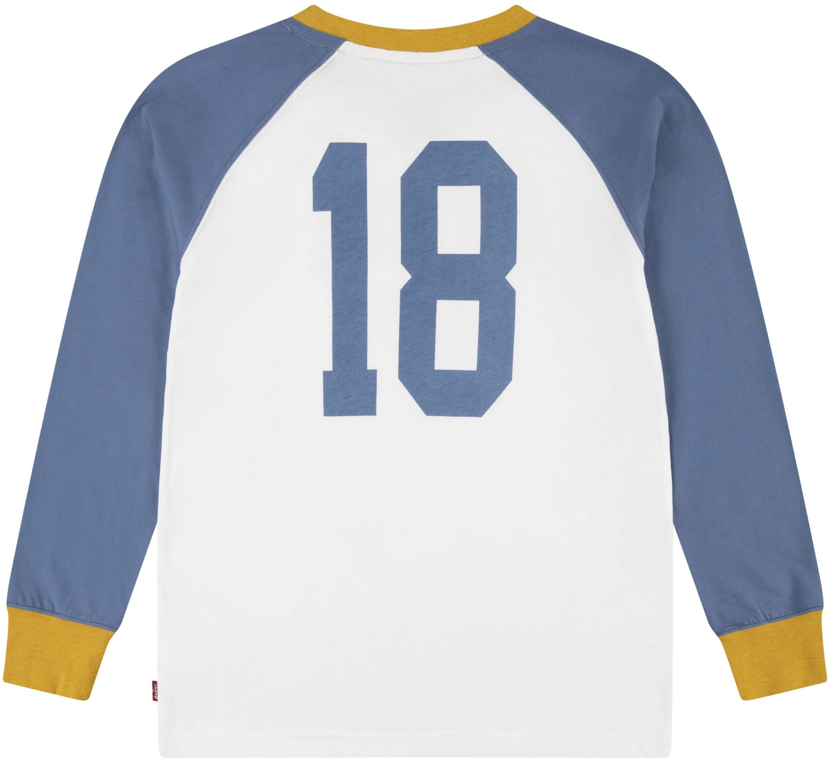 Levi's Kidswear Shirt met lange mouwen LVB PREP COLORBLOCK LONGSLEEVE
