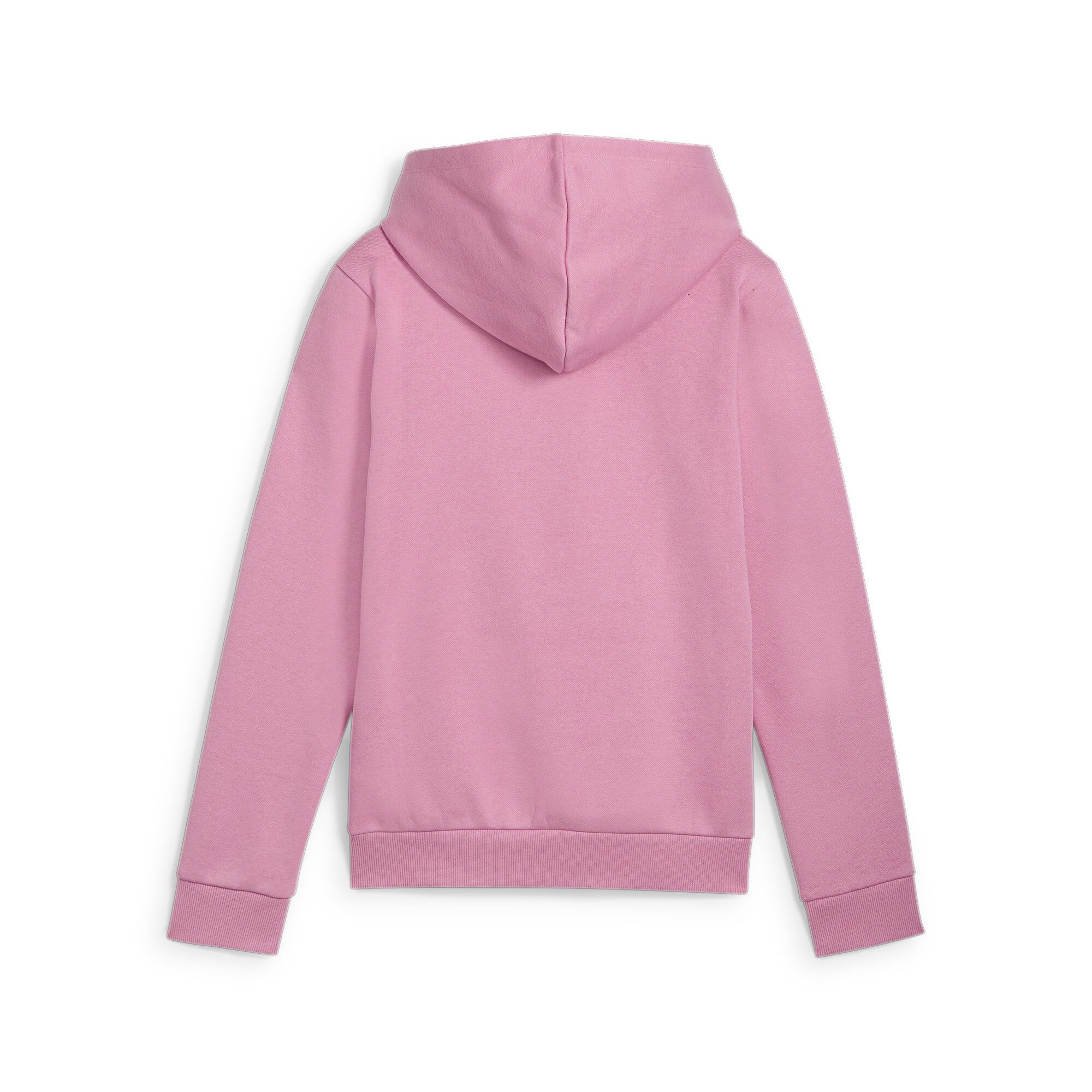PUMA Hoodie ESS+ Logo Hoodie FL G