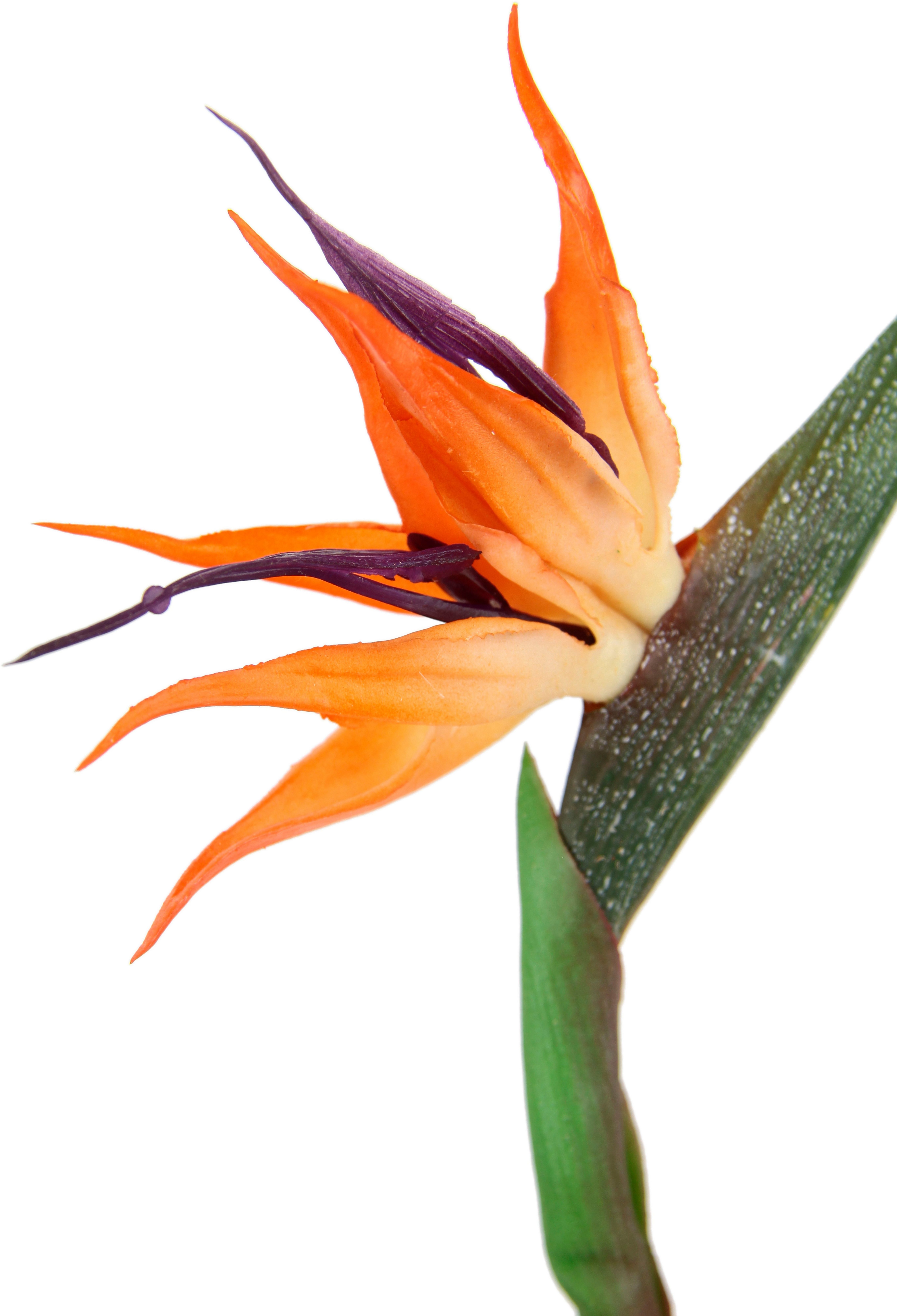 I.GE.A. Kunstbloem strelitzie paradijsvogelbloem exotische decoratieve tak (3 stuks)