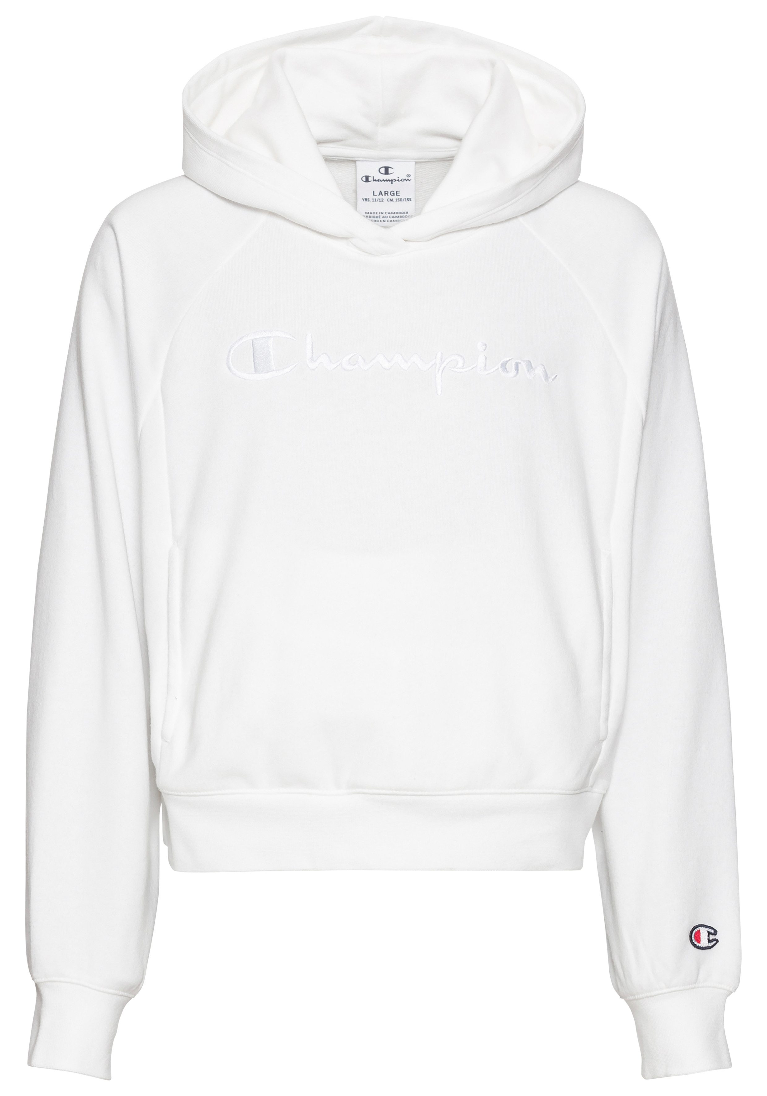 Champion Hoodie Icons Hooded Sweatshirt