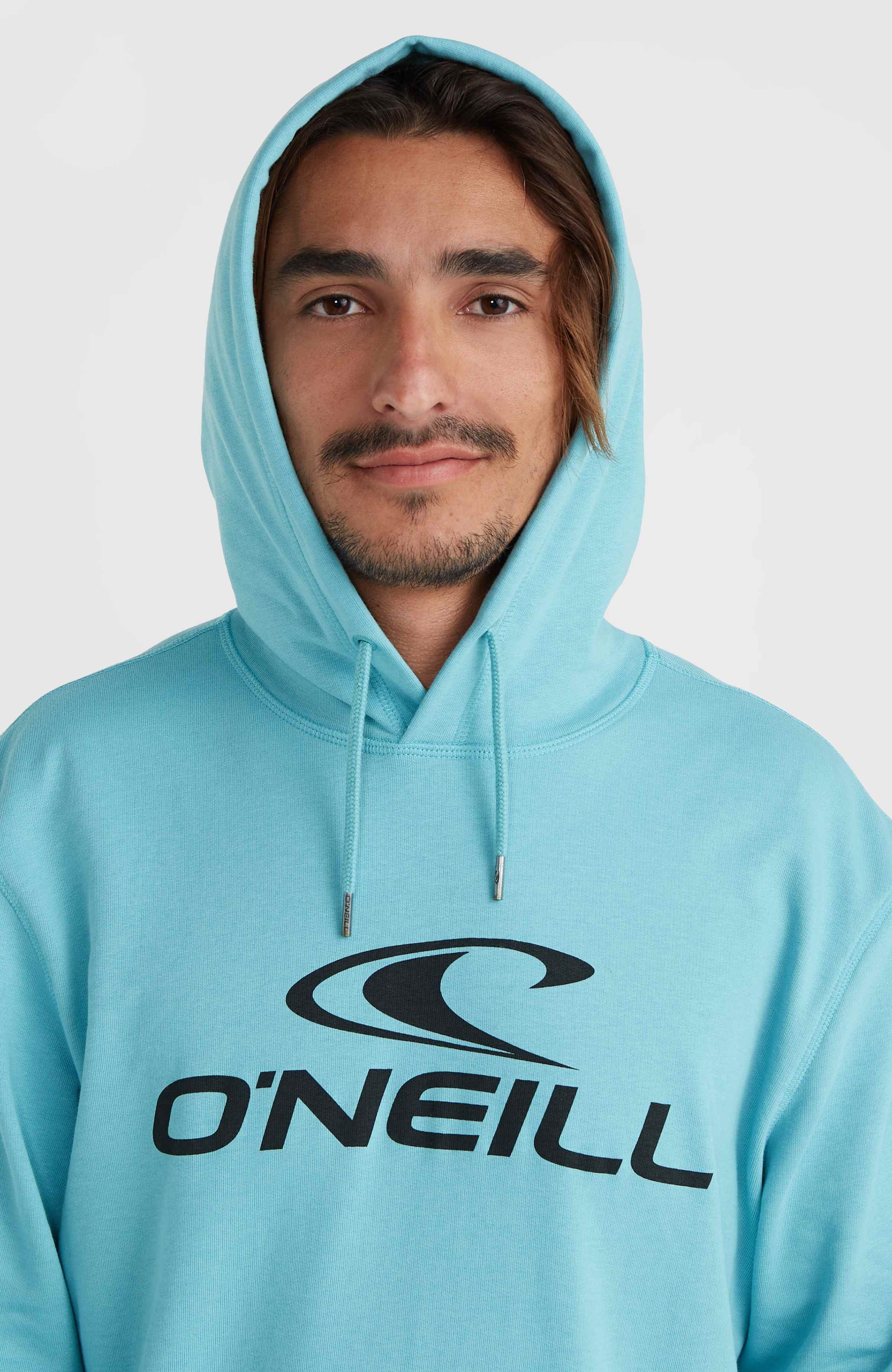 O'Neill Hoodie O'NEILL LOGO HOODIE