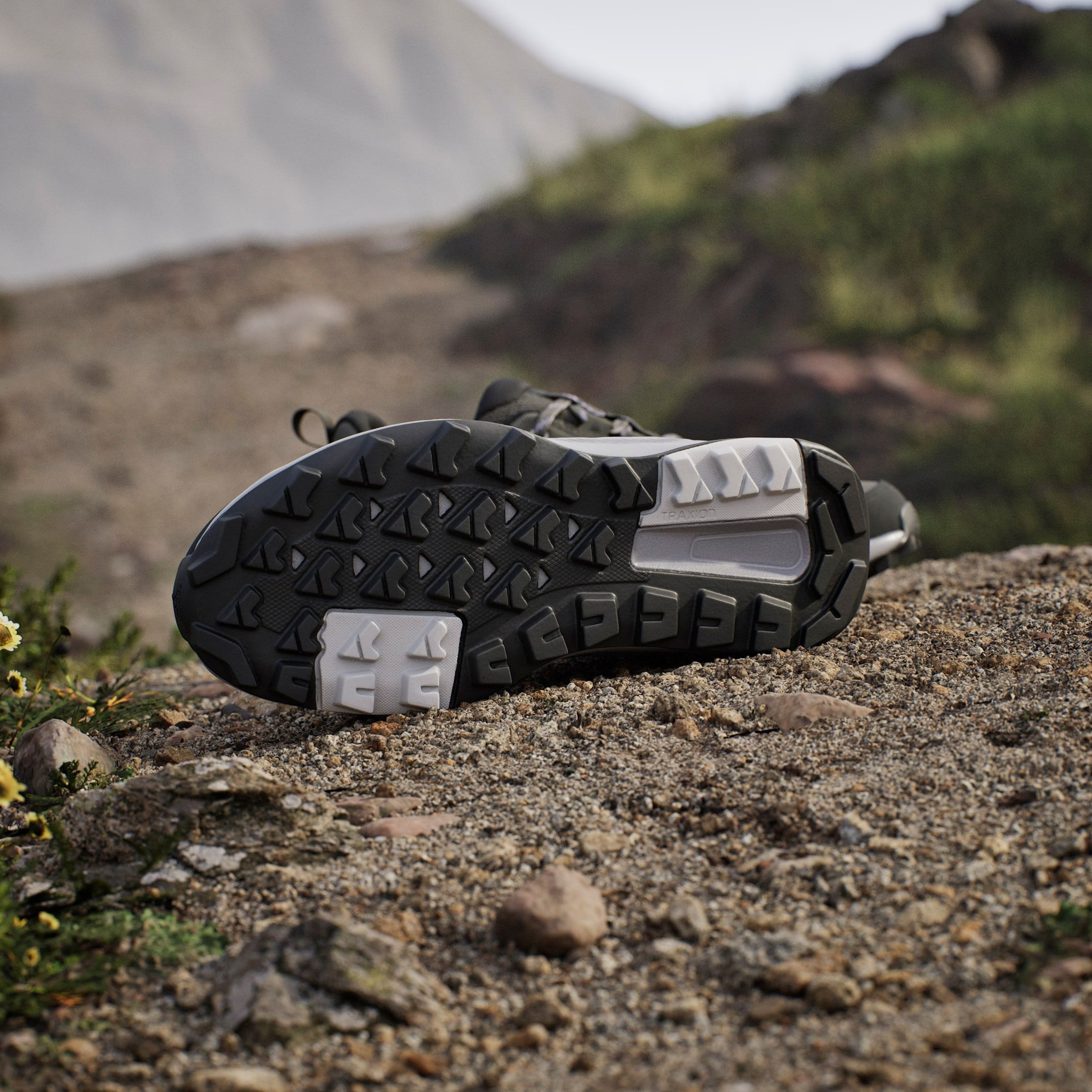 adidas TERREX Wandelschoenen TERREX ANYLANDER