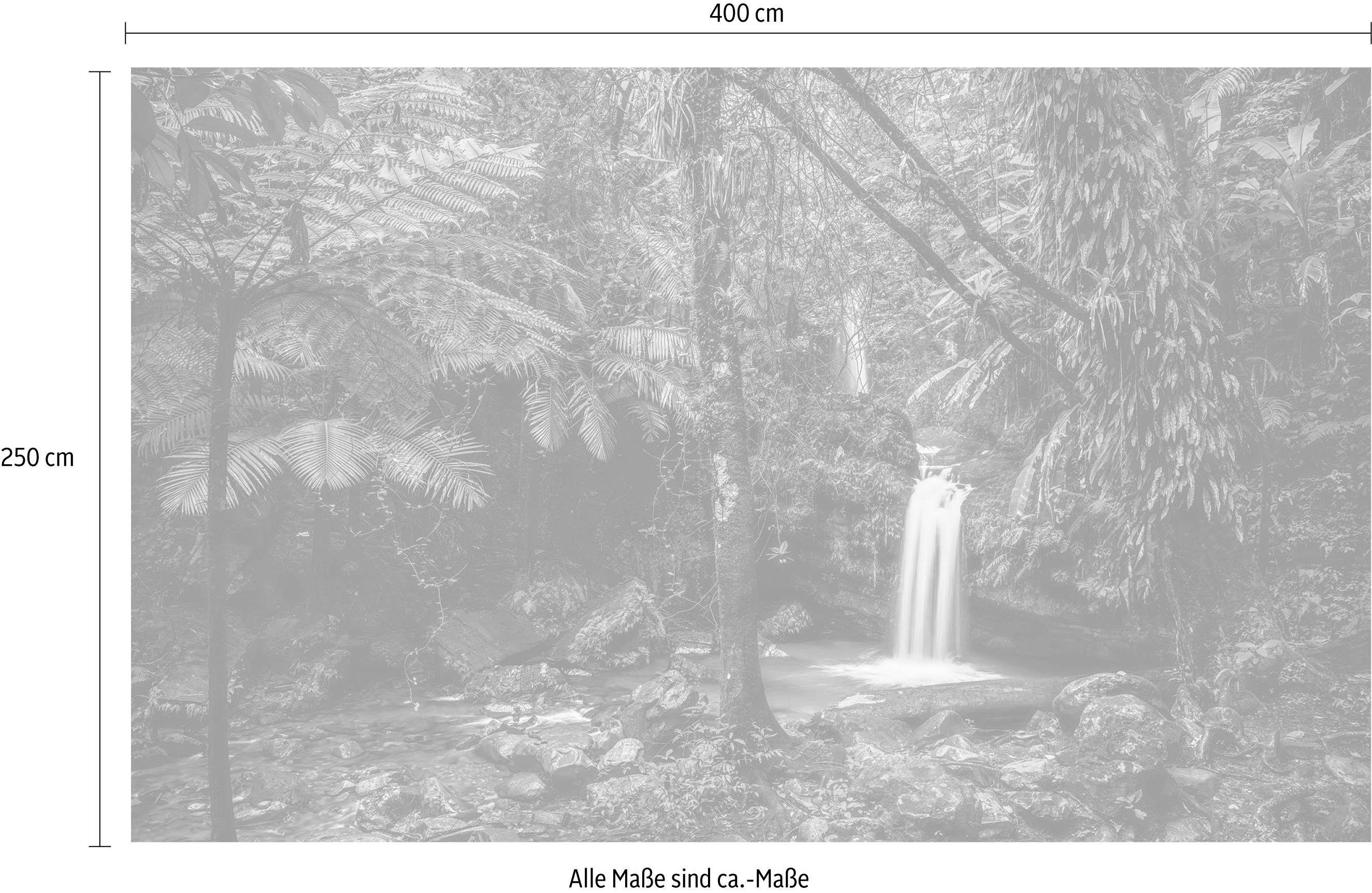Komar Vliesbehang Digitale print vlies - My Hidden Treasure - Afmeting 400 x 250 cm (1 stuk)