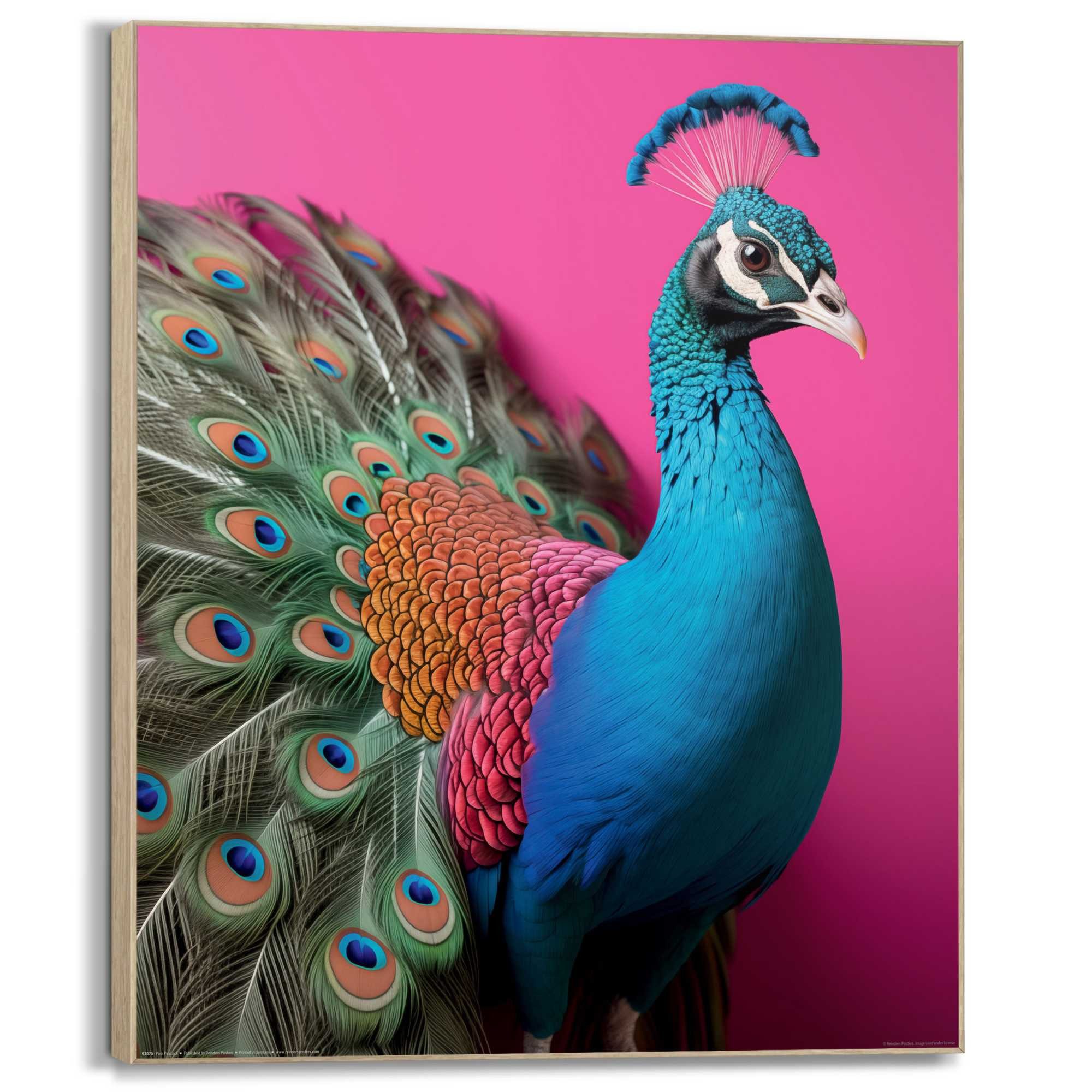 Reinders! Artprint Pink peacock