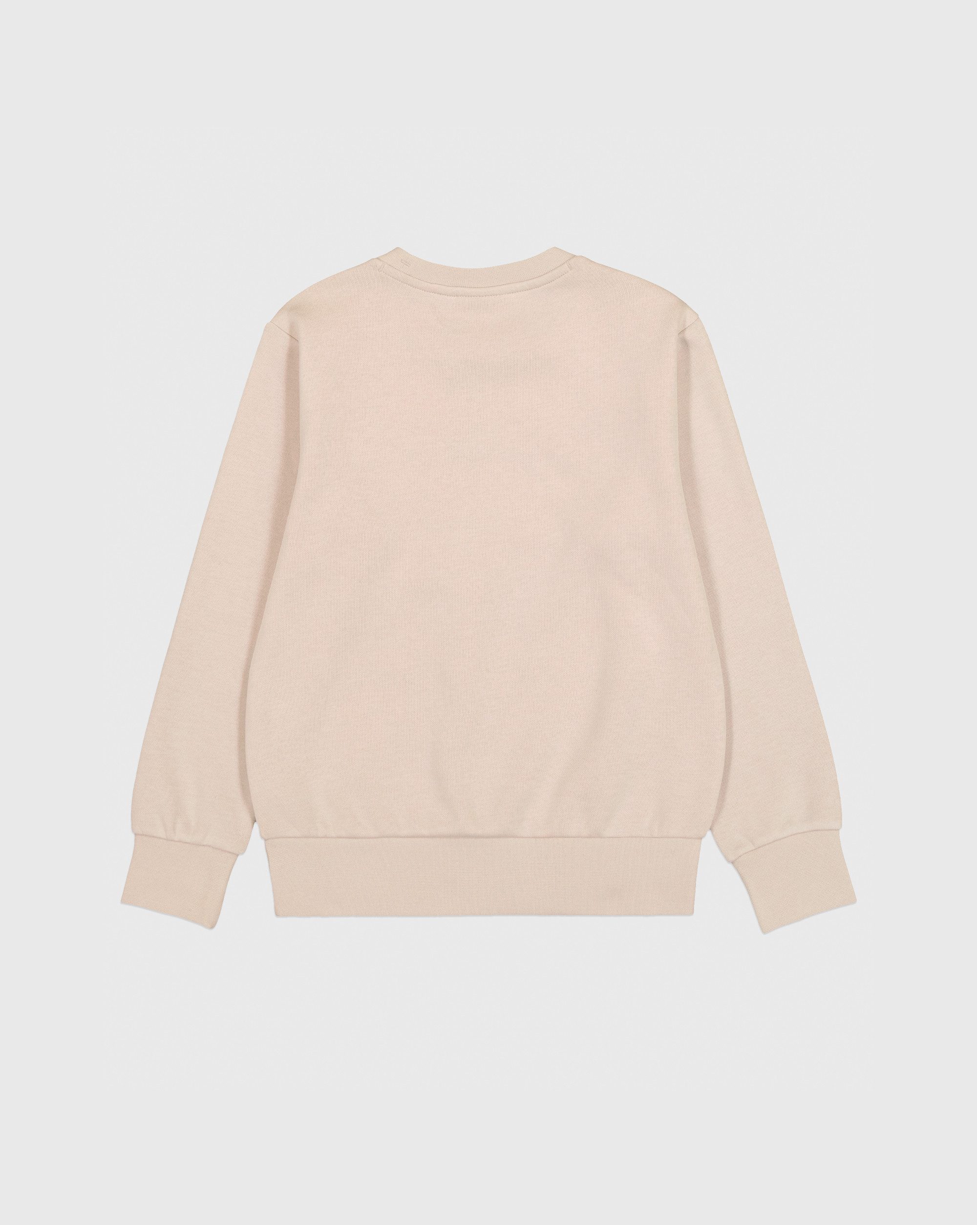 Champion Sweatshirt Crewneck sweatshirt
