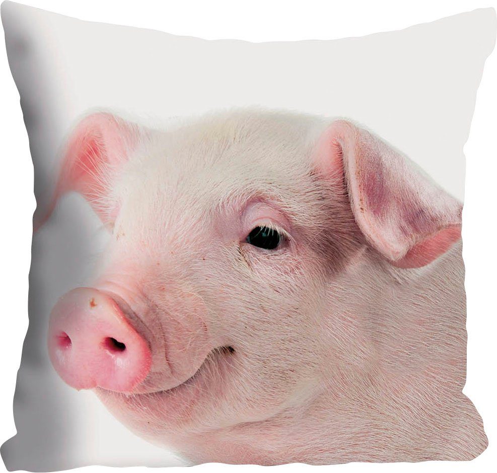 queence Sierkussen Rebecca Kussenhoes, schattig varkentje, roze, schattig, dierenmotief, grappig (1 stuk)