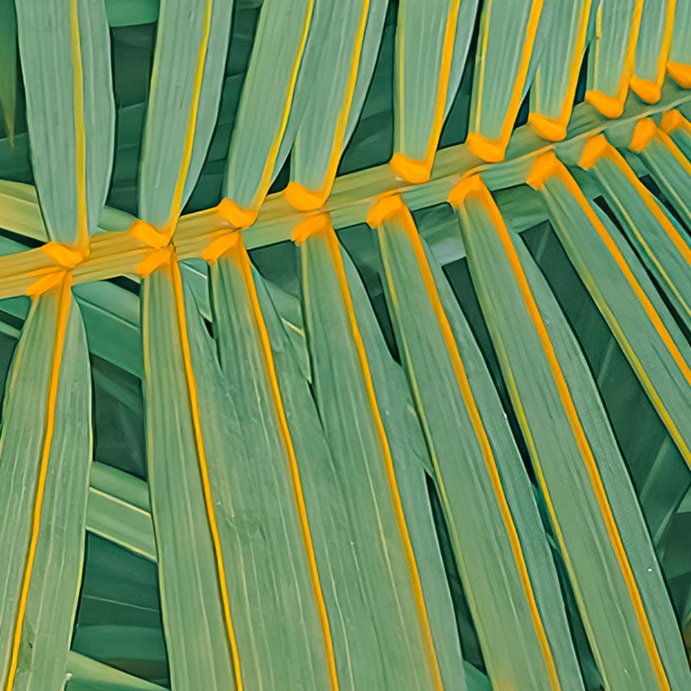 Komar Fotobehang Digitale print vlies - Neon Fern - Afmeting 200 x 250 cm (1 stuk)