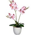 creativ green kunstorchidee vlinderorchidee in een keramische pot, set van 2 roze